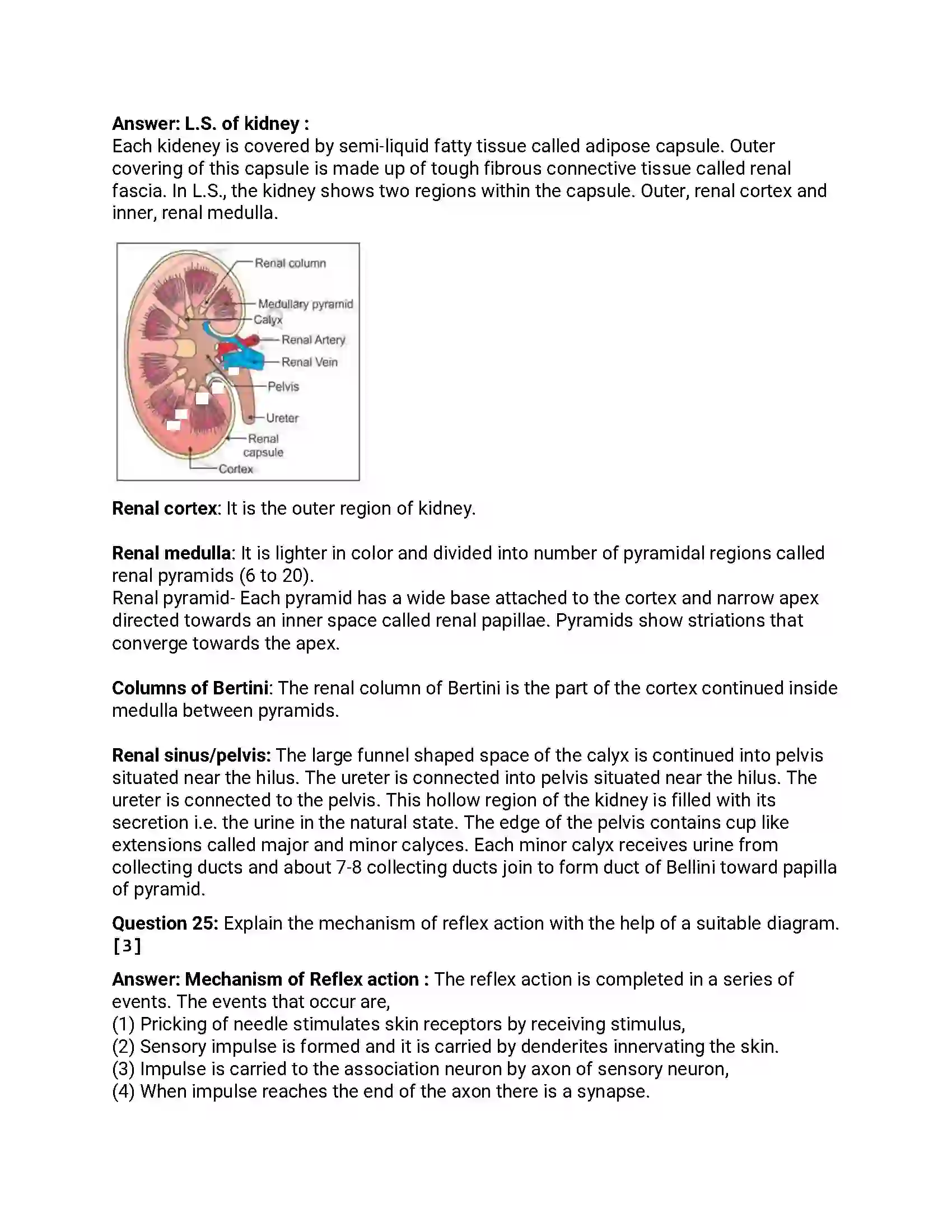 Maharashtra Board Class 12th 2019 Biology - Feb 2019 - Set-1 Previous Year Paper 9