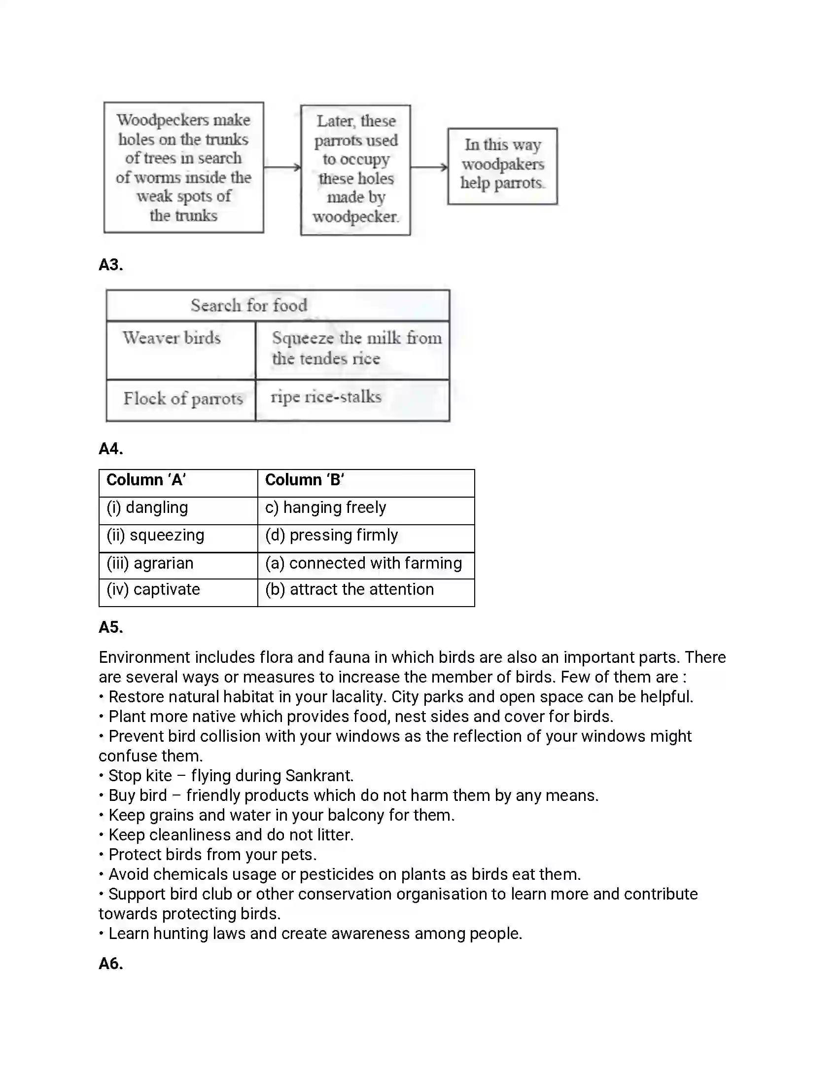 Maharashtra Board Class 12th 2019 English - Feb 2019 - Set-A Previous Year Paper 3