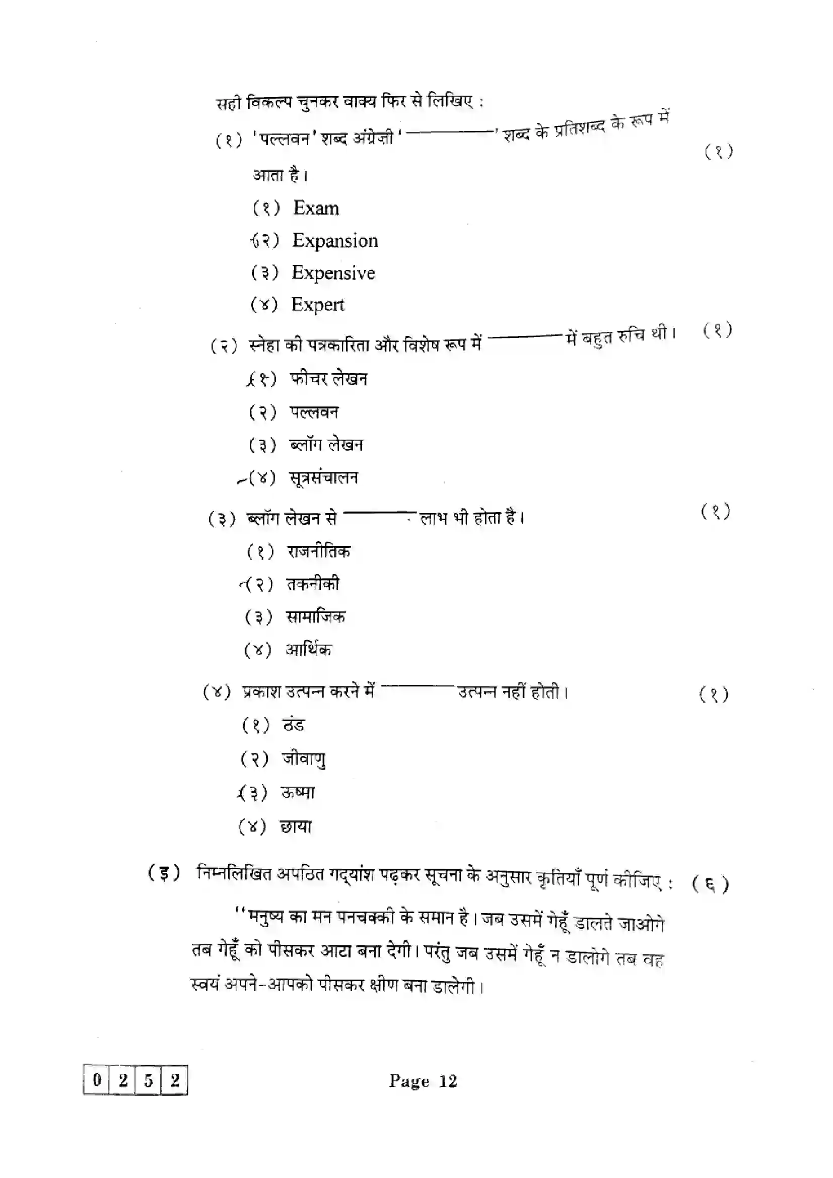 Maharashtra Board Class 12th 2025 Hindi - J-252 Previous Year Paper 12