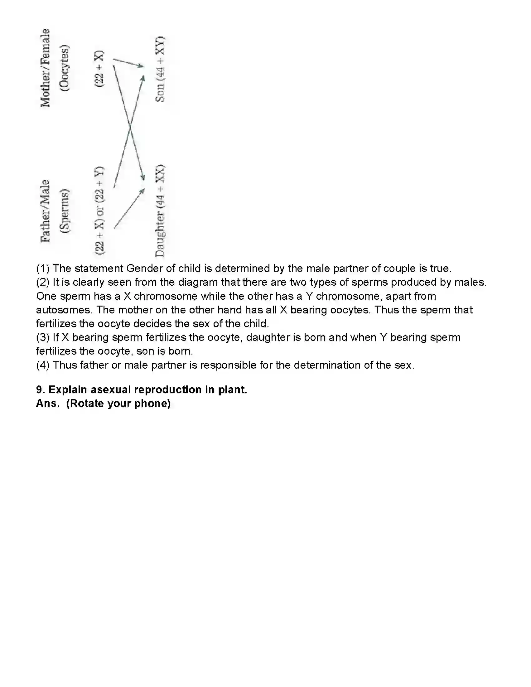 Maharashtra Board Class 10th Science Part - 2 Life Processes in Living Organisms Part -2 Revision Note 10