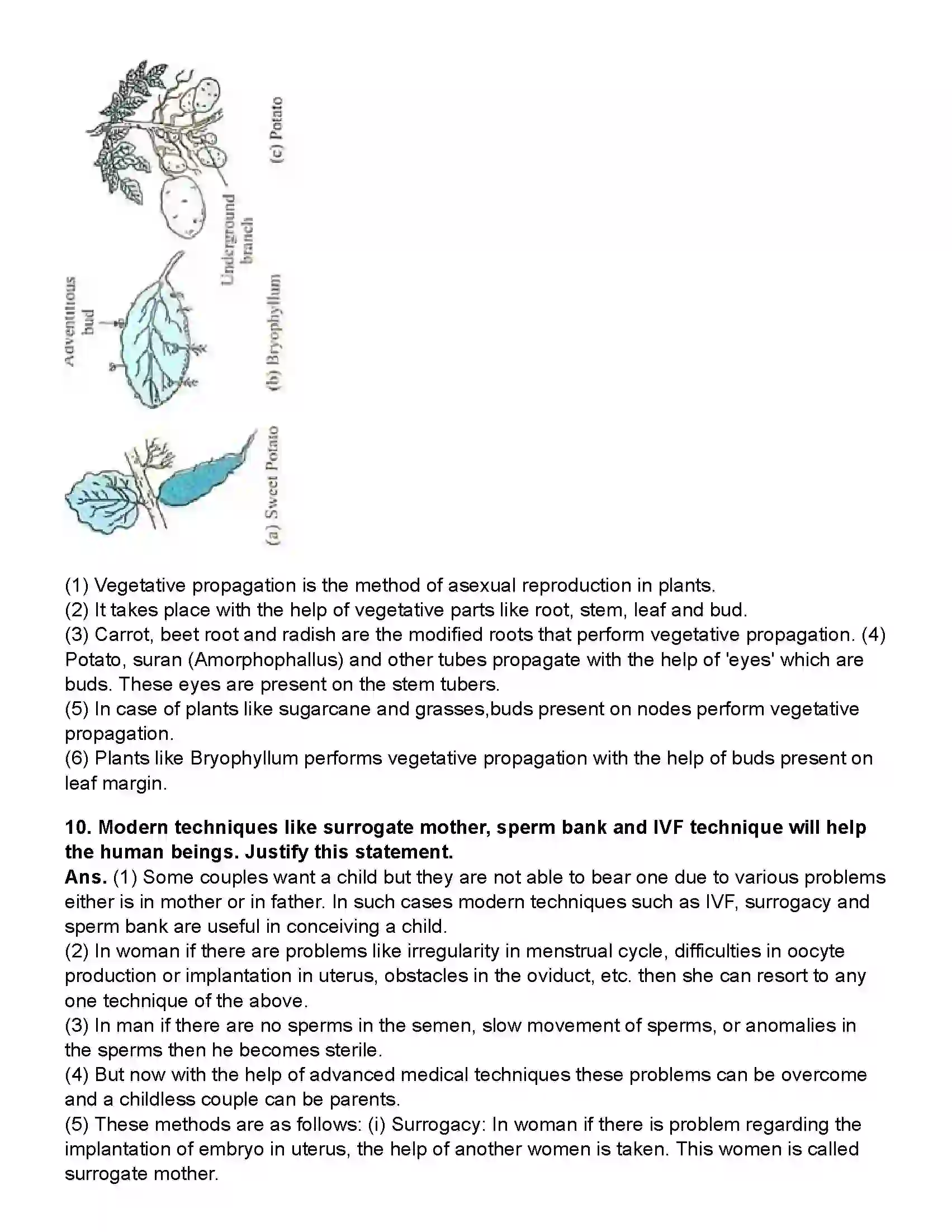 Maharashtra Board Class 10th Science Part - 2 Life Processes in Living Organisms Part -2 Revision Note 11