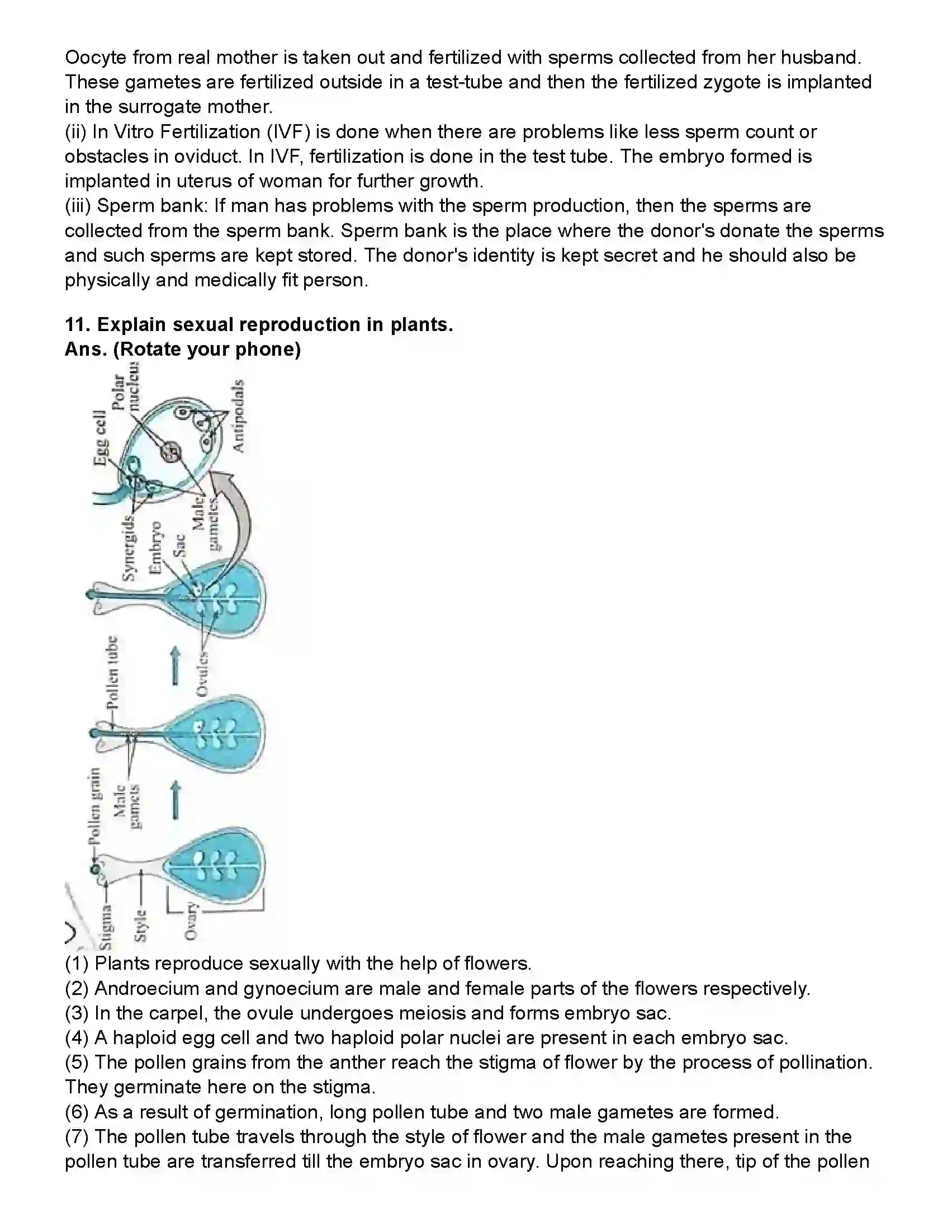 Maharashtra Board Class 10th Science Part - 2 Life Processes in Living Organisms Part -2 Revision Note 12