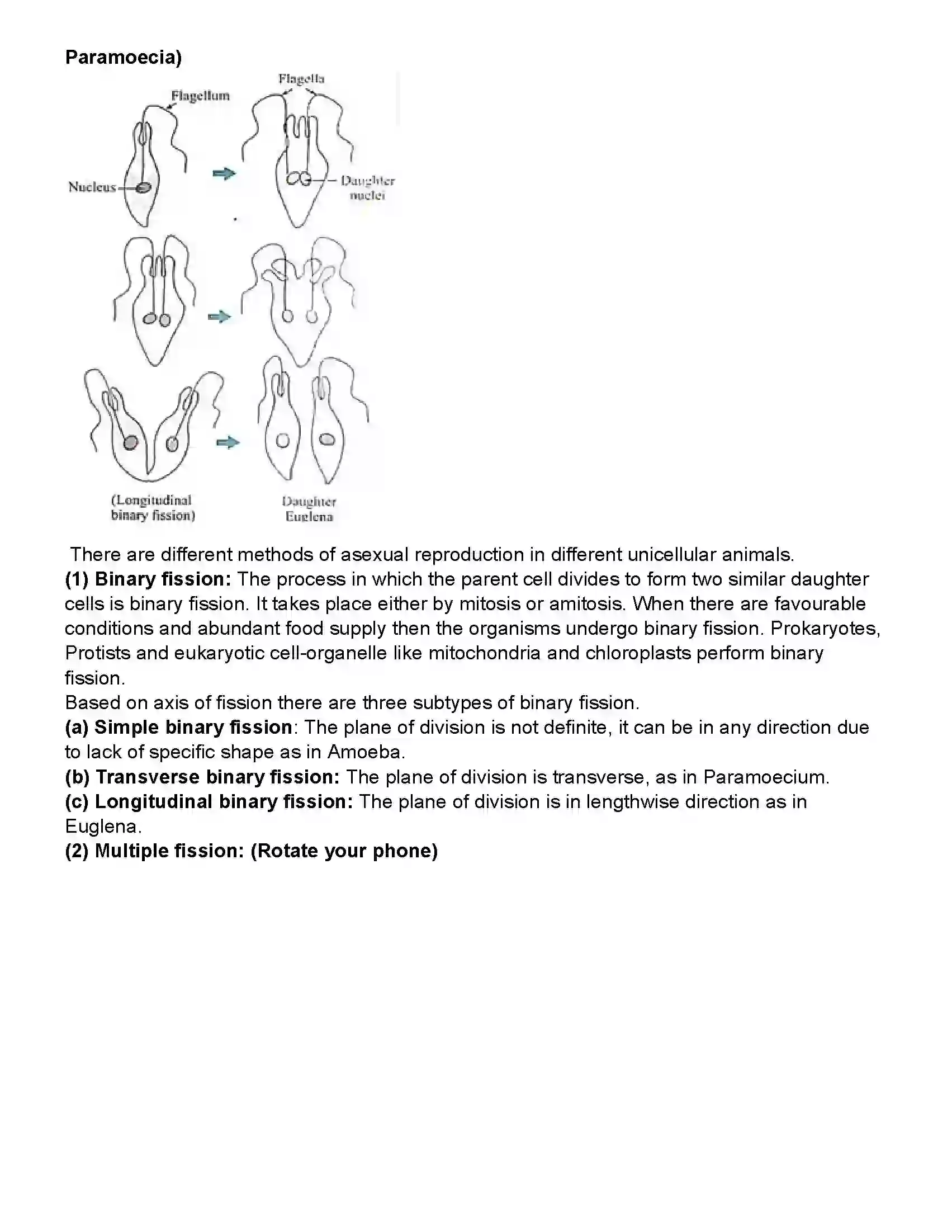 Maharashtra Board Class 10th Science Part - 2 Life Processes in Living Organisms Part -2 Revision Note 4