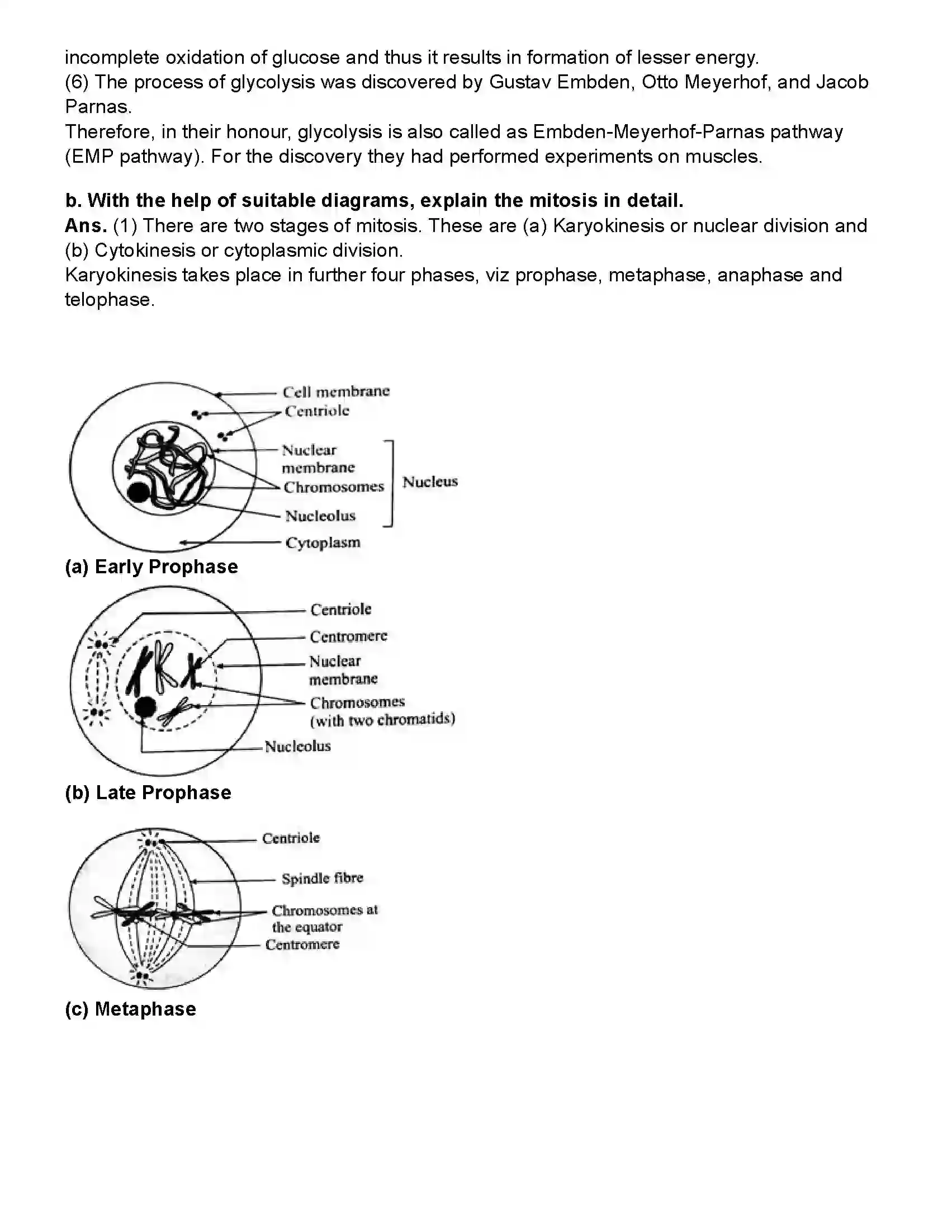 Maharashtra Board Class 10th Science Part - 2 Life Processes in living organisms Part -1 Revision Note 5