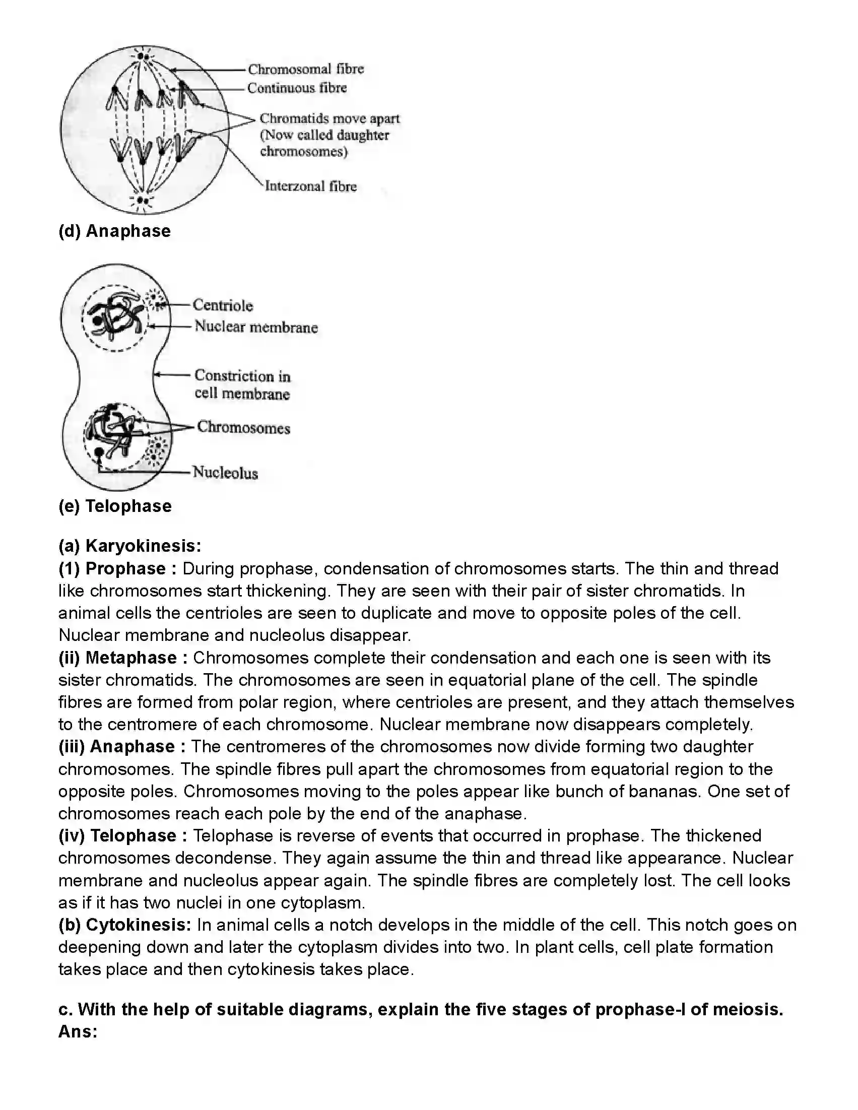Maharashtra Board Class 10th Science Part - 2 Life Processes in living organisms Part -1 Revision Note 6