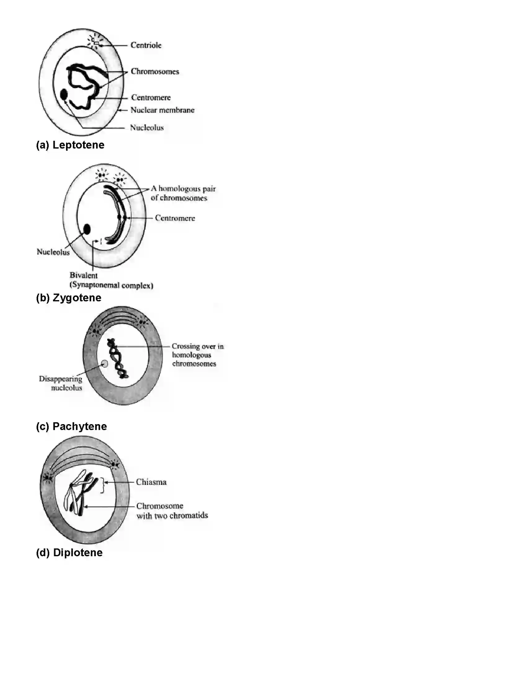 Maharashtra Board Class 10th Science Part - 2 Life Processes in living organisms Part -1 Revision Note 7