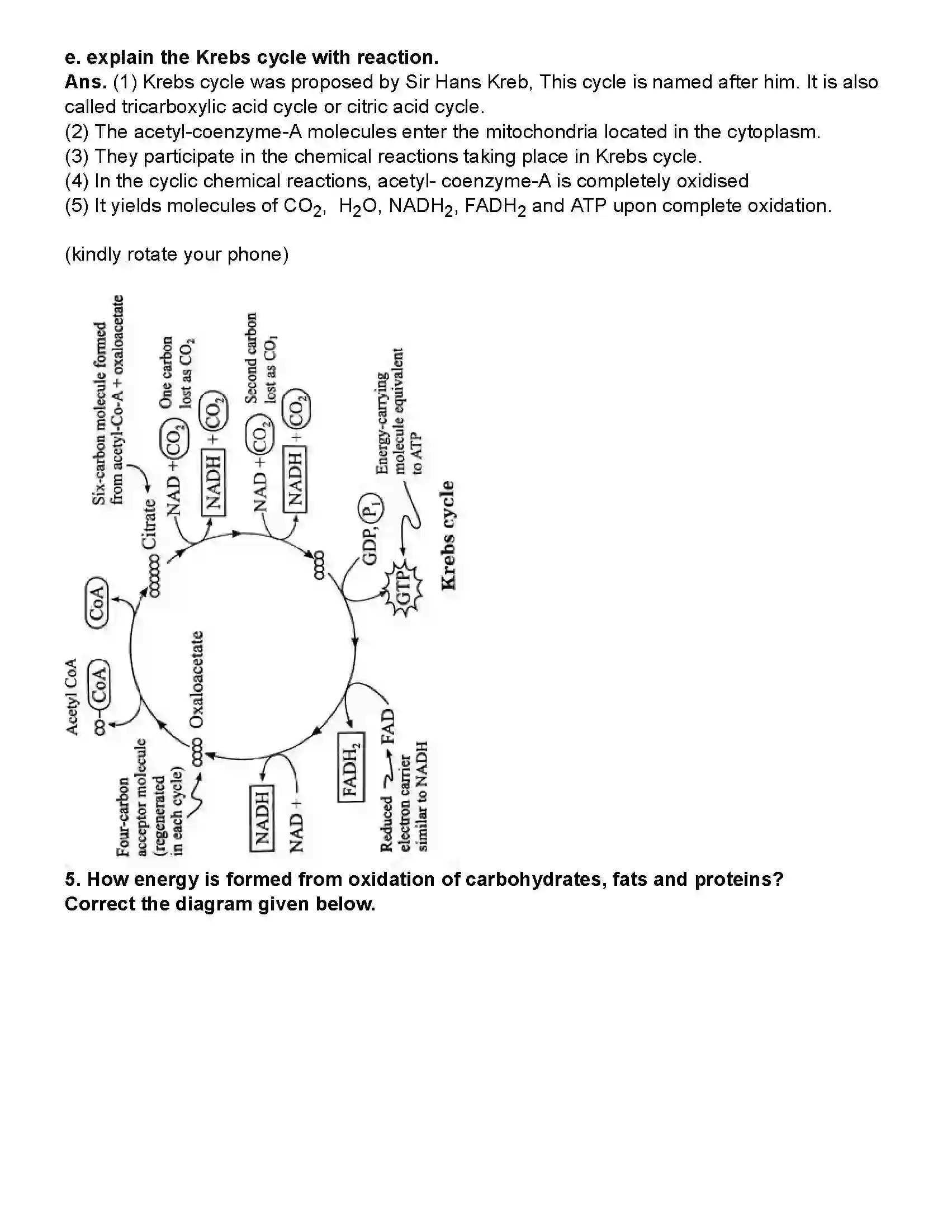 Maharashtra Board Class 10th Science Part - 2 Life Processes in living organisms Part -1 Revision Note 9