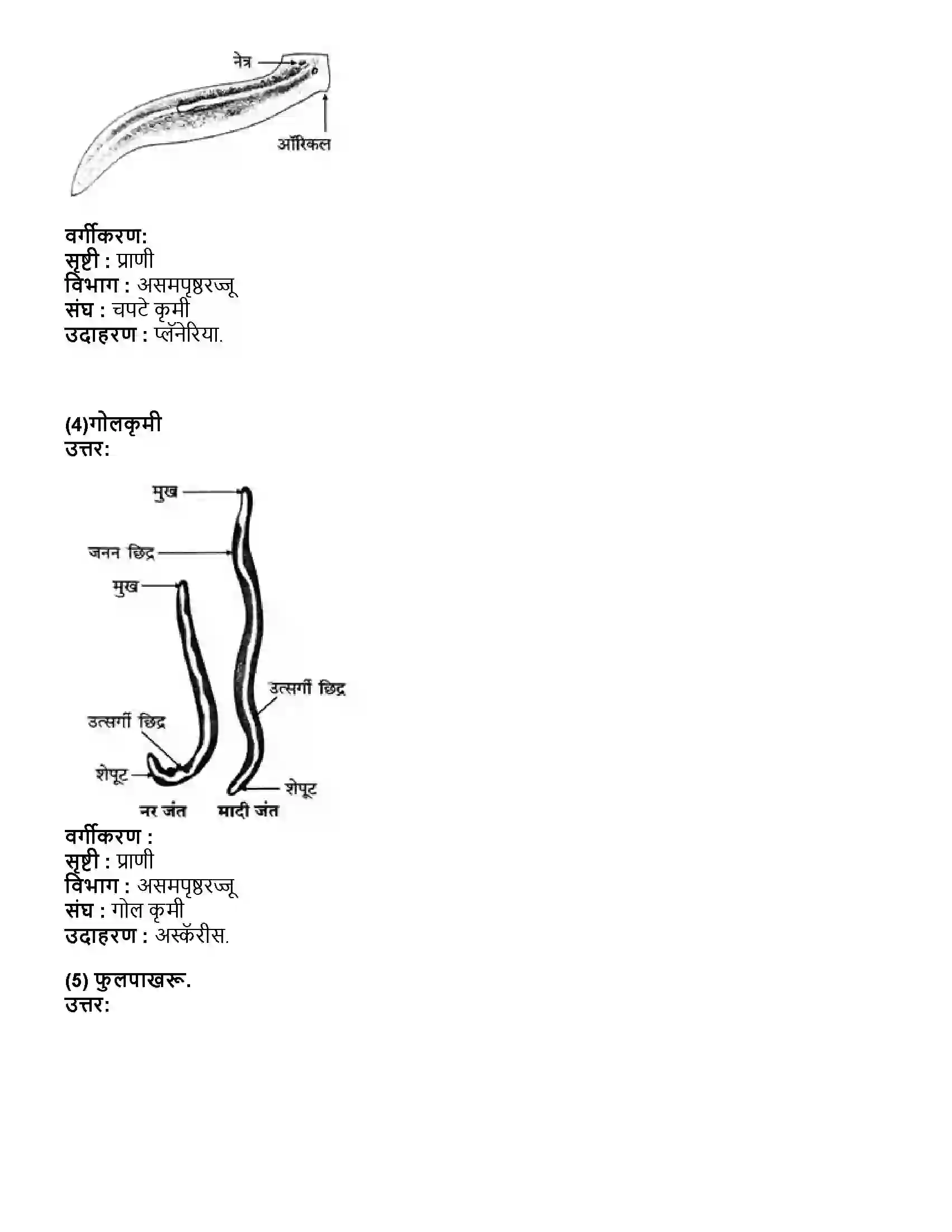Maharashtra Board Class 10th विज्ञान भाग - २ प्राण्यांचे वर्गीकरण Revision Note 10