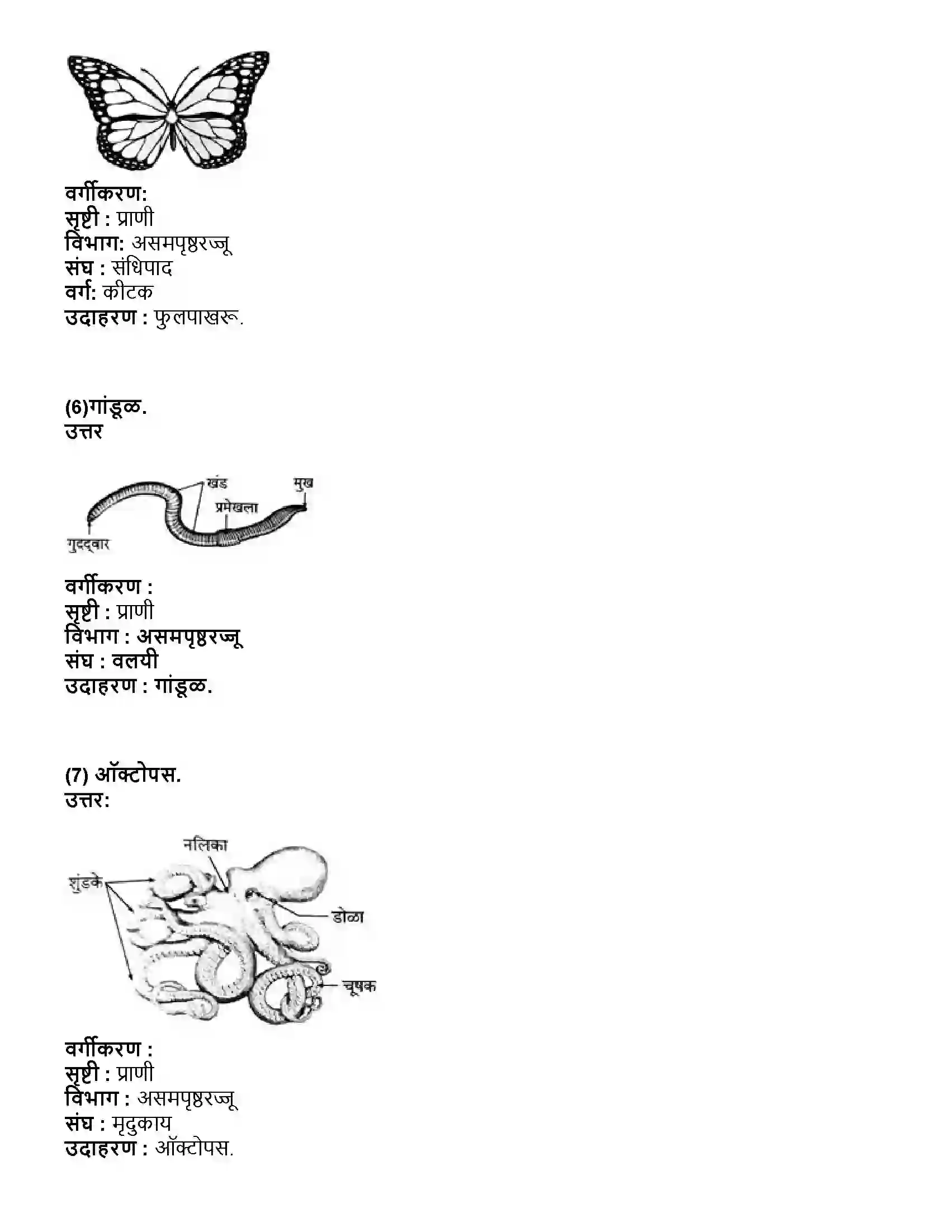 Maharashtra Board Class 10th विज्ञान भाग - २ प्राण्यांचे वर्गीकरण Revision Note 11