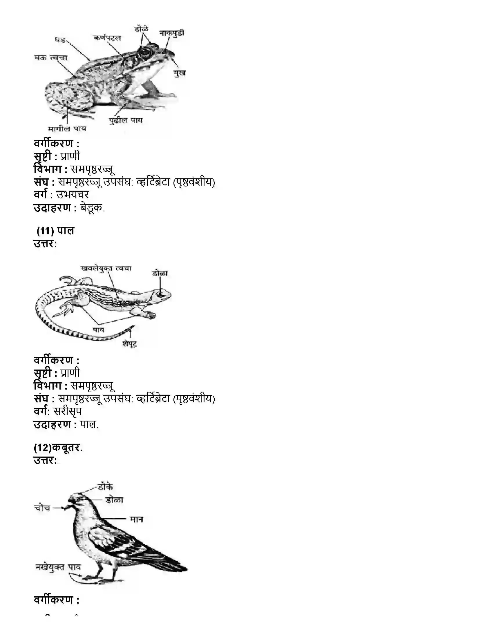 Maharashtra Board Class 10th विज्ञान भाग - २ प्राण्यांचे वर्गीकरण Revision Note 13