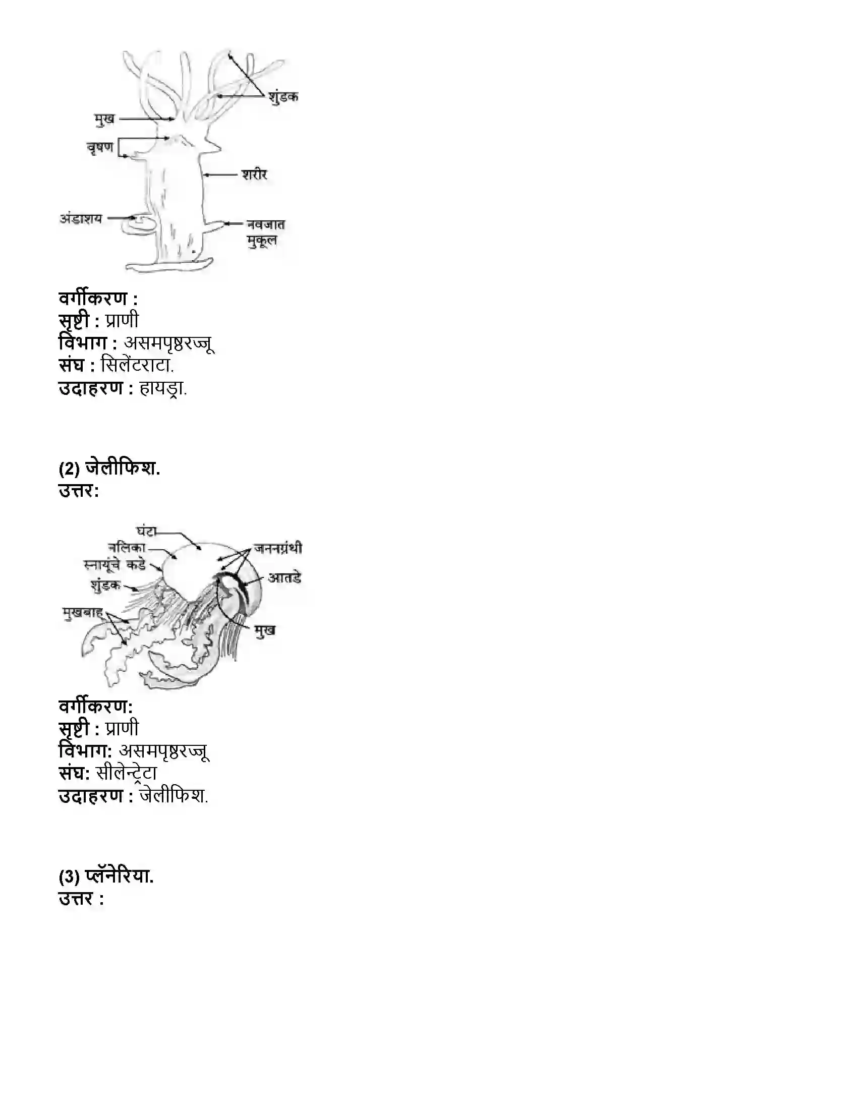 Maharashtra Board Class 10th विज्ञान भाग - २ प्राण्यांचे वर्गीकरण Revision Note 9