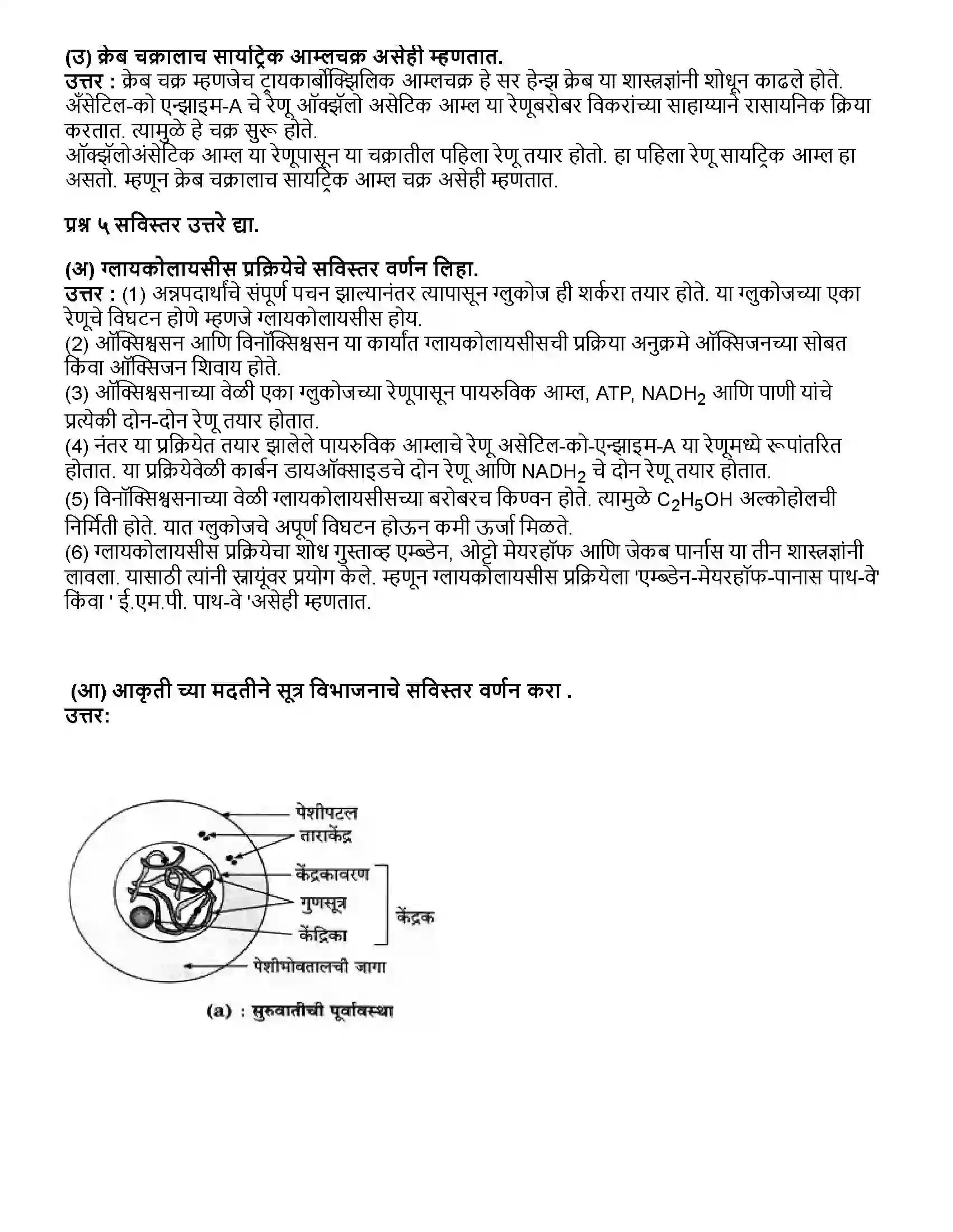 Maharashtra Board Class 10th विज्ञान भाग - २ सजीवांतील जीवनप्रक्रिया भाग-1 Revision Note 5