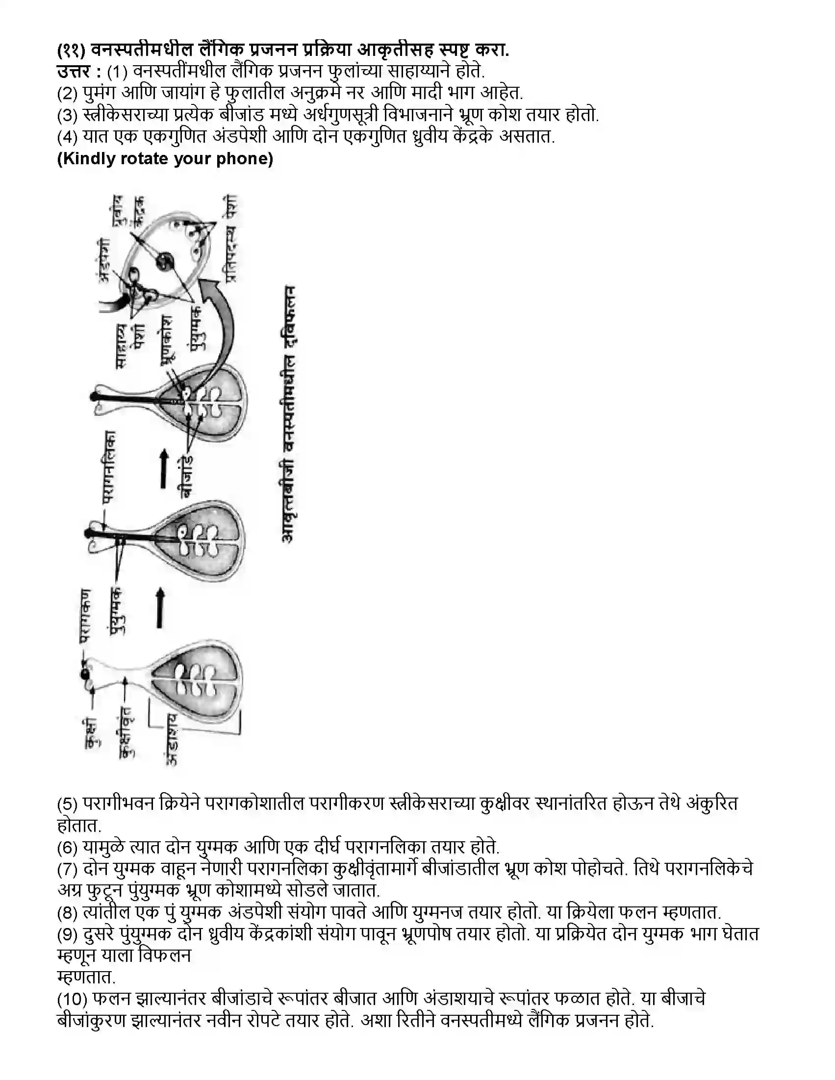 Maharashtra Board Class 10th विज्ञान भाग - २ सजीवांतील जीवनप्रक्रिया भाग-2 Revision Note 10