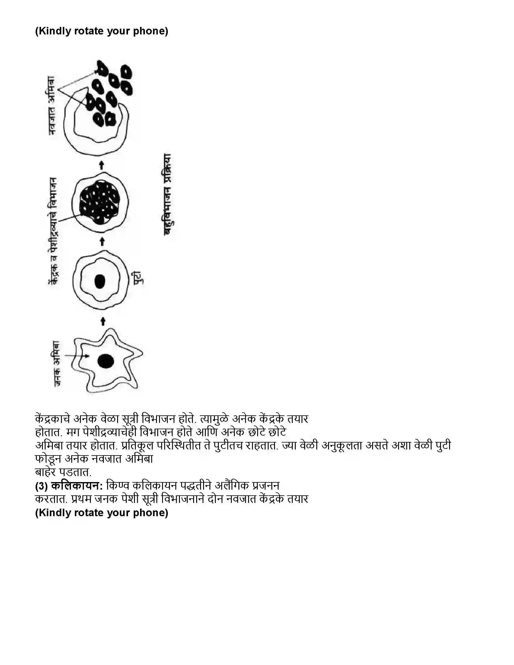 Maharashtra Board Class 10th विज्ञान भाग - २ सजीवांतील जीवनप्रक्रिया भाग-2 Revision Note 4