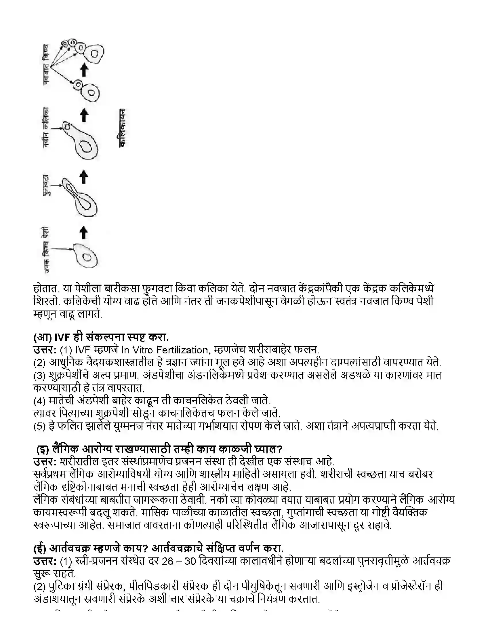 Maharashtra Board Class 10th विज्ञान भाग - २ सजीवांतील जीवनप्रक्रिया भाग-2 Revision Note 5