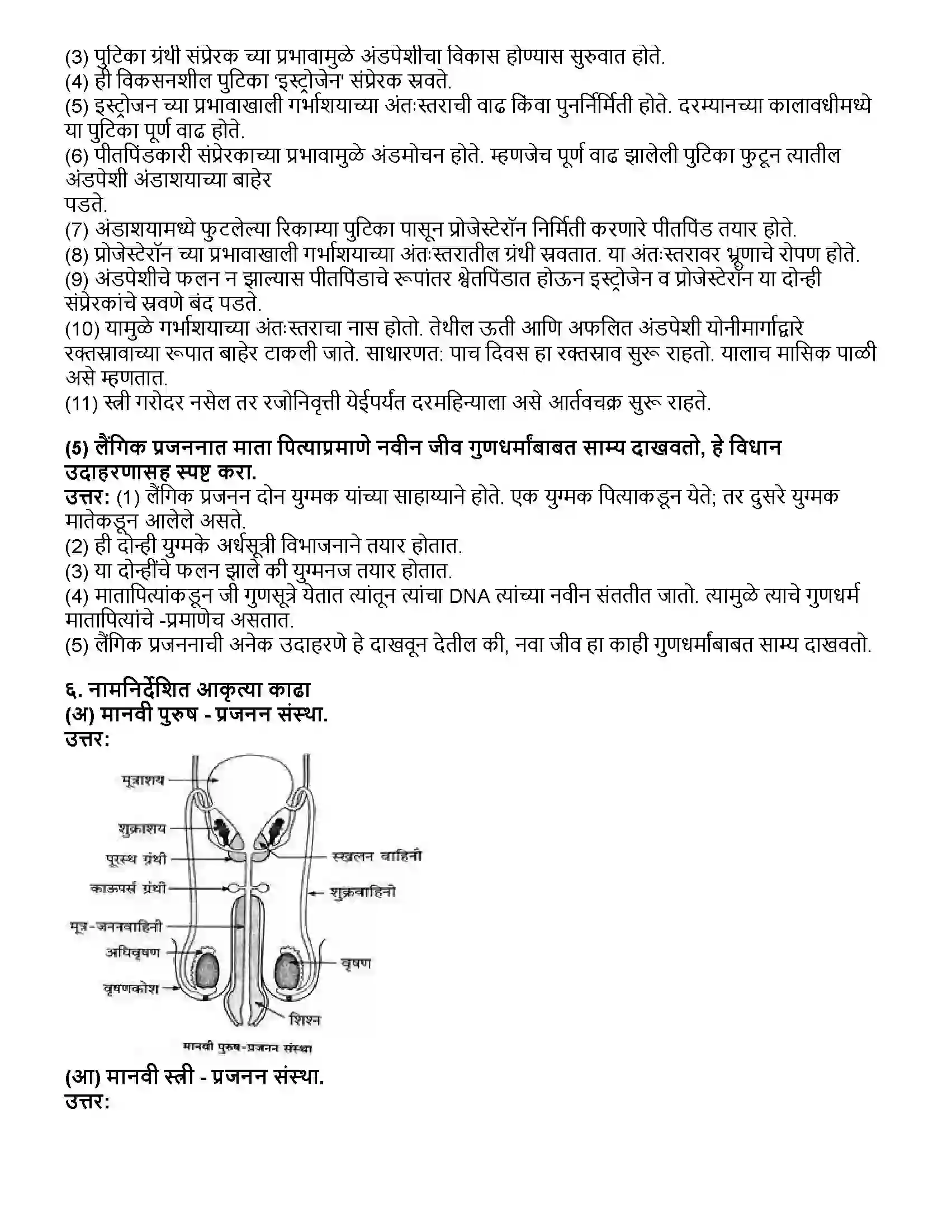 Maharashtra Board Class 10th विज्ञान भाग - २ सजीवांतील जीवनप्रक्रिया भाग-2 Revision Note 6