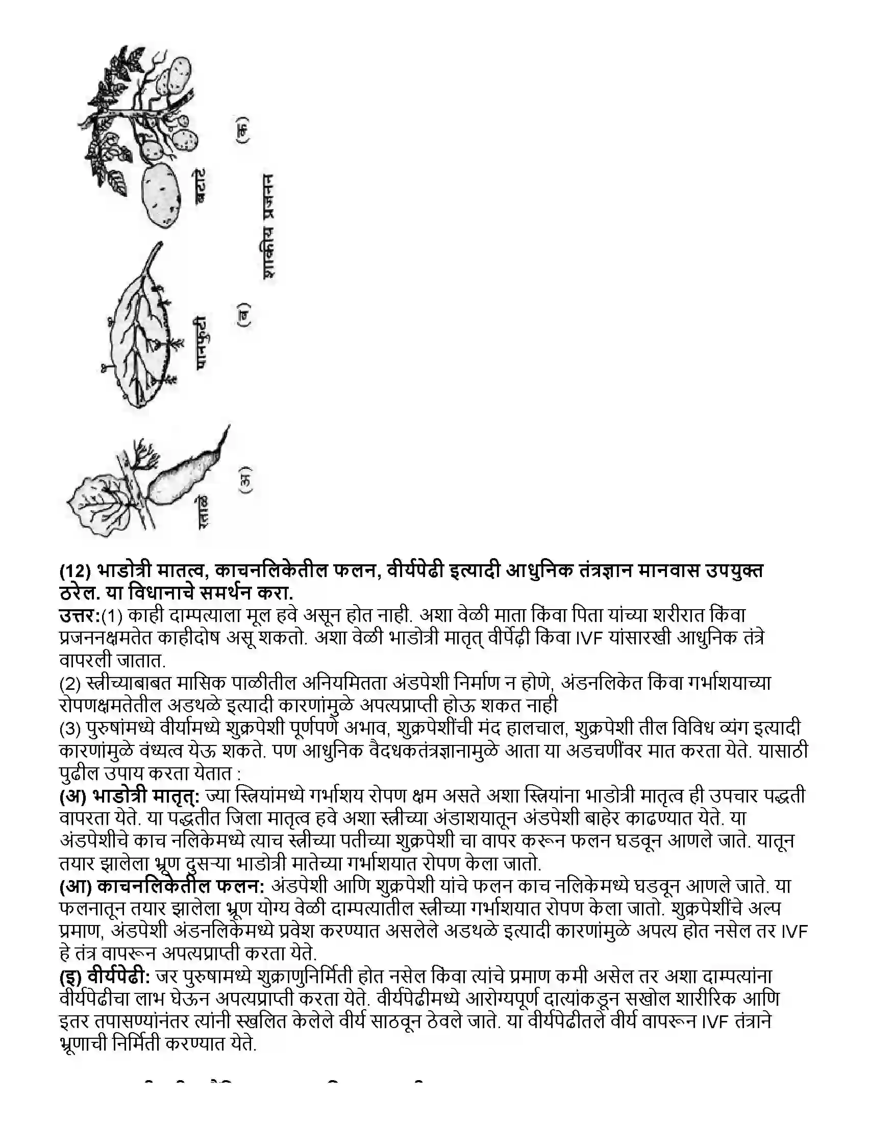 Maharashtra Board Class 10th विज्ञान भाग - २ सजीवांतील जीवनप्रक्रिया भाग-2 Revision Note 9