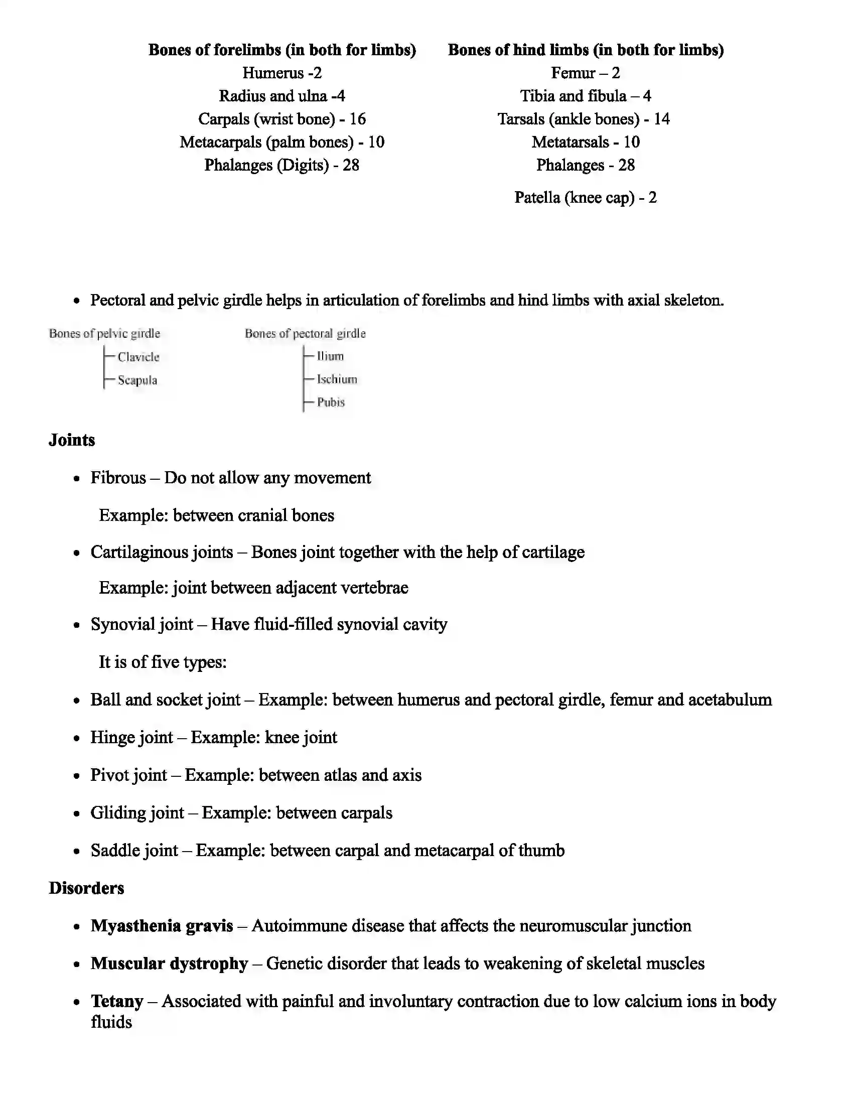 Maharashtra Board Class 11th Biology Human Skeleton and Locomotion Revision Note 2