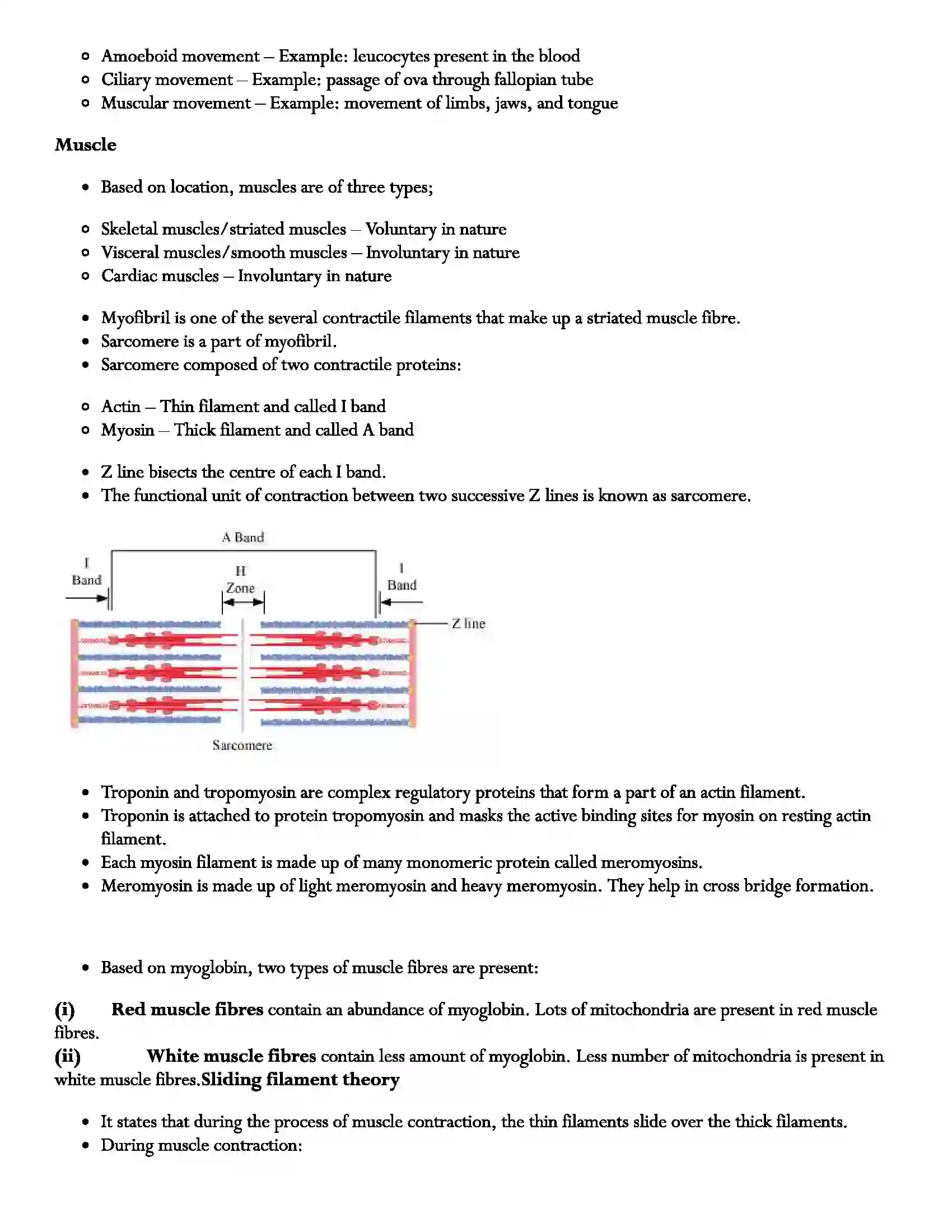 Maharashtra Board Class 11th Biology Human Skeleton and Locomotion Revision Note 4