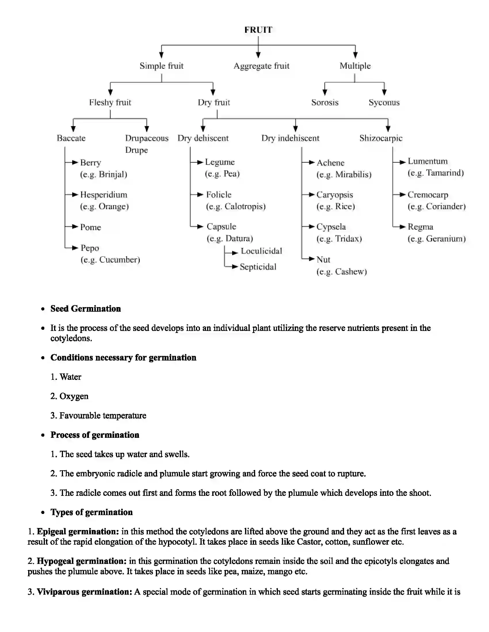 Maharashtra Board Class 11th Biology Morphology of Flowering Plants Revision Note 5
