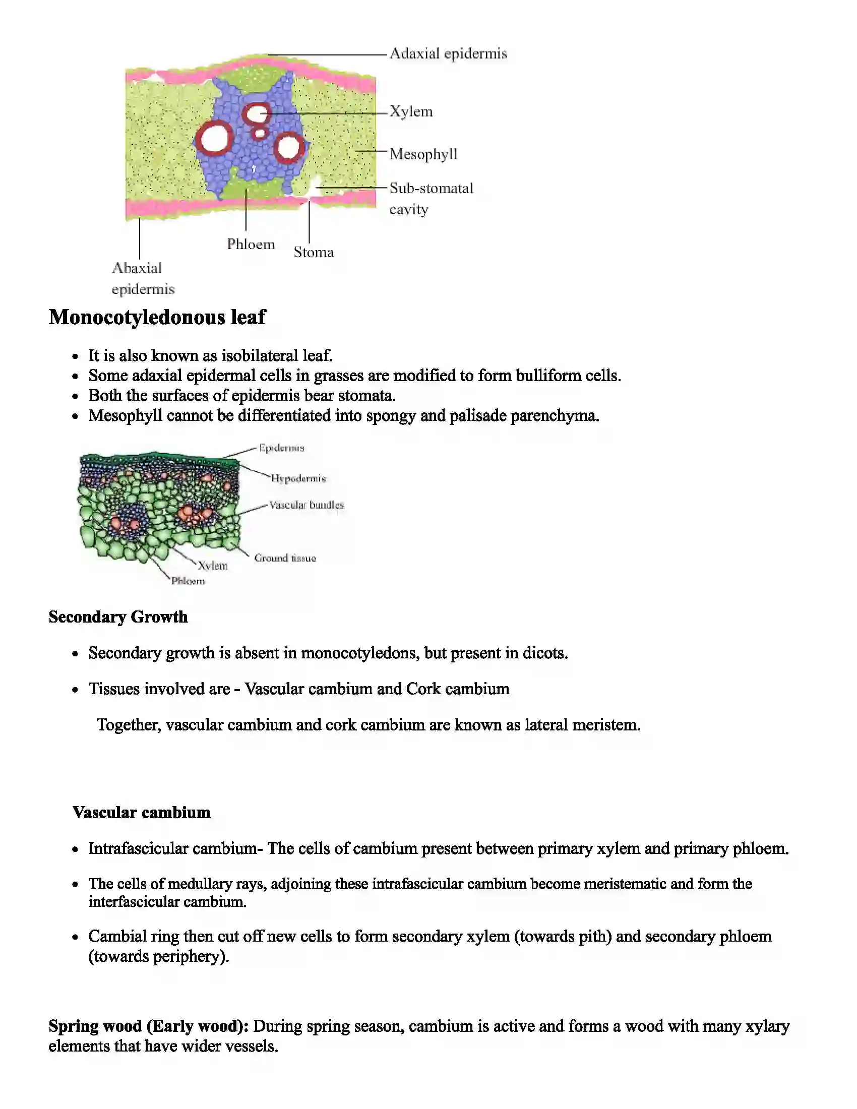 Maharashtra Board Class 11th Biology Morphology of Flowering Plants Revision Note 9