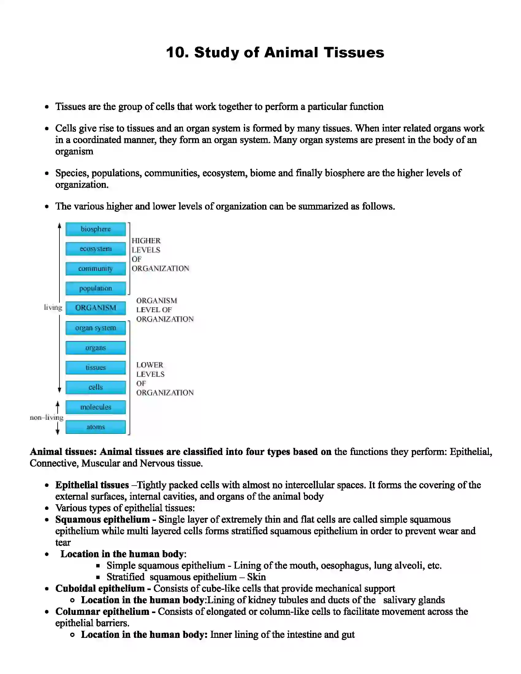 Maharashtra Board Class 11th Biology Study of Animal Tissues Revision Note 1