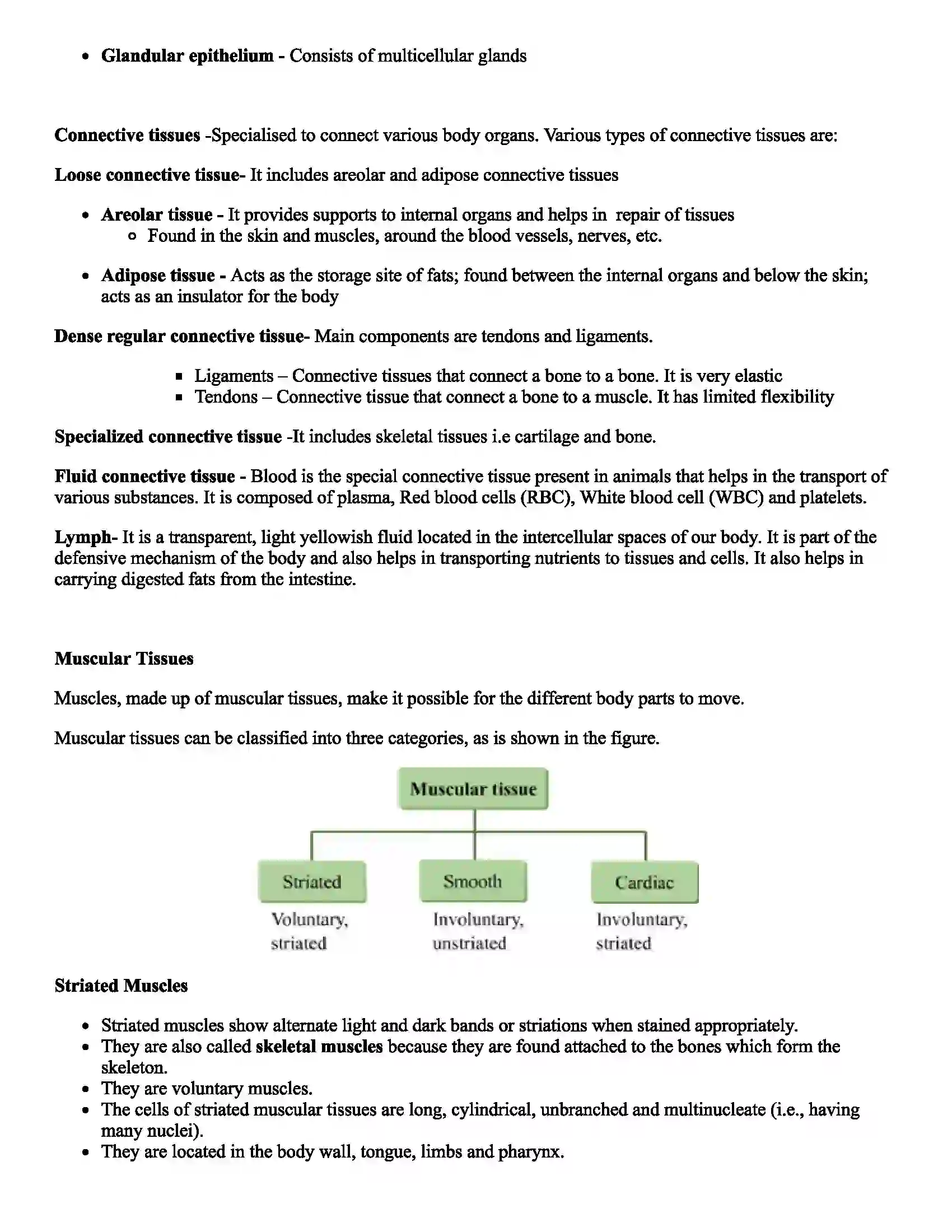 Maharashtra Board Class 11th Biology Study of Animal Tissues Revision Note 2