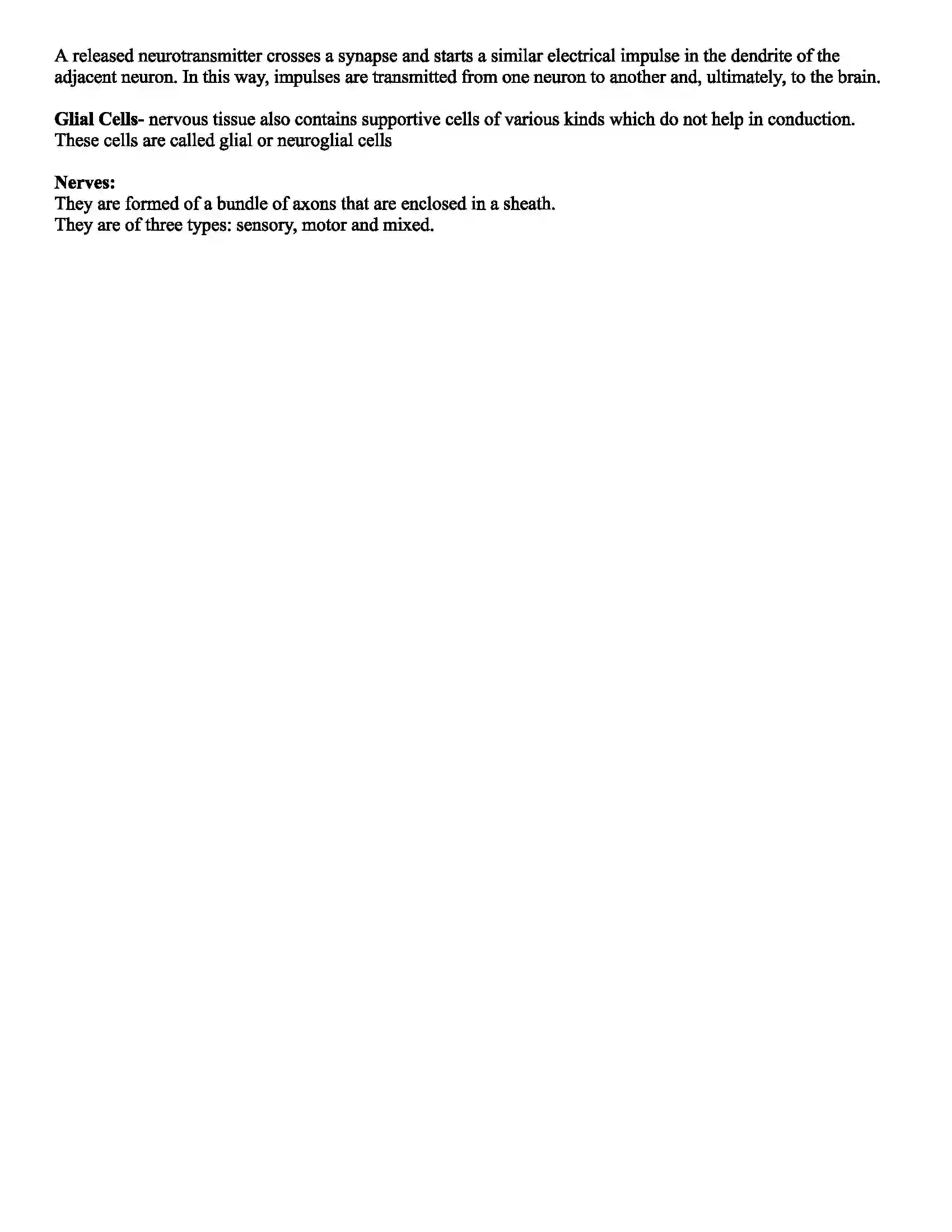 Maharashtra Board Class 11th Biology Study of Animal Tissues Revision Note 4