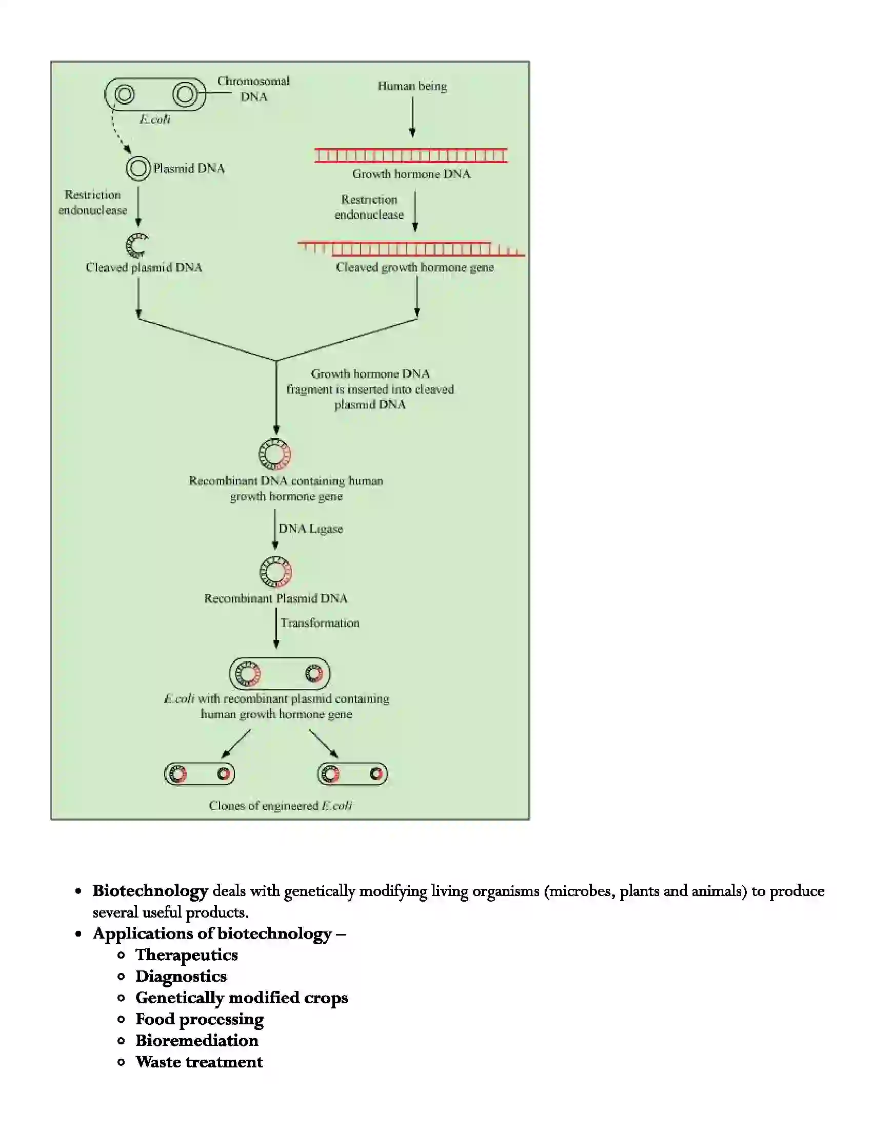 Maharashtra Board Class 12th Biology Biotechnology Process and Application Revision Note 4