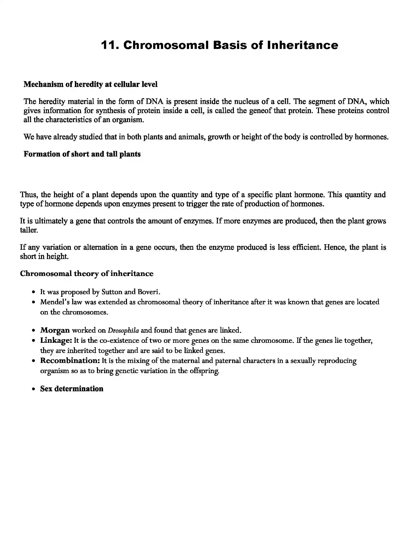 Maharashtra Board Class 12th Biology Chromosomal Basis of Inheritance Revision Note 1