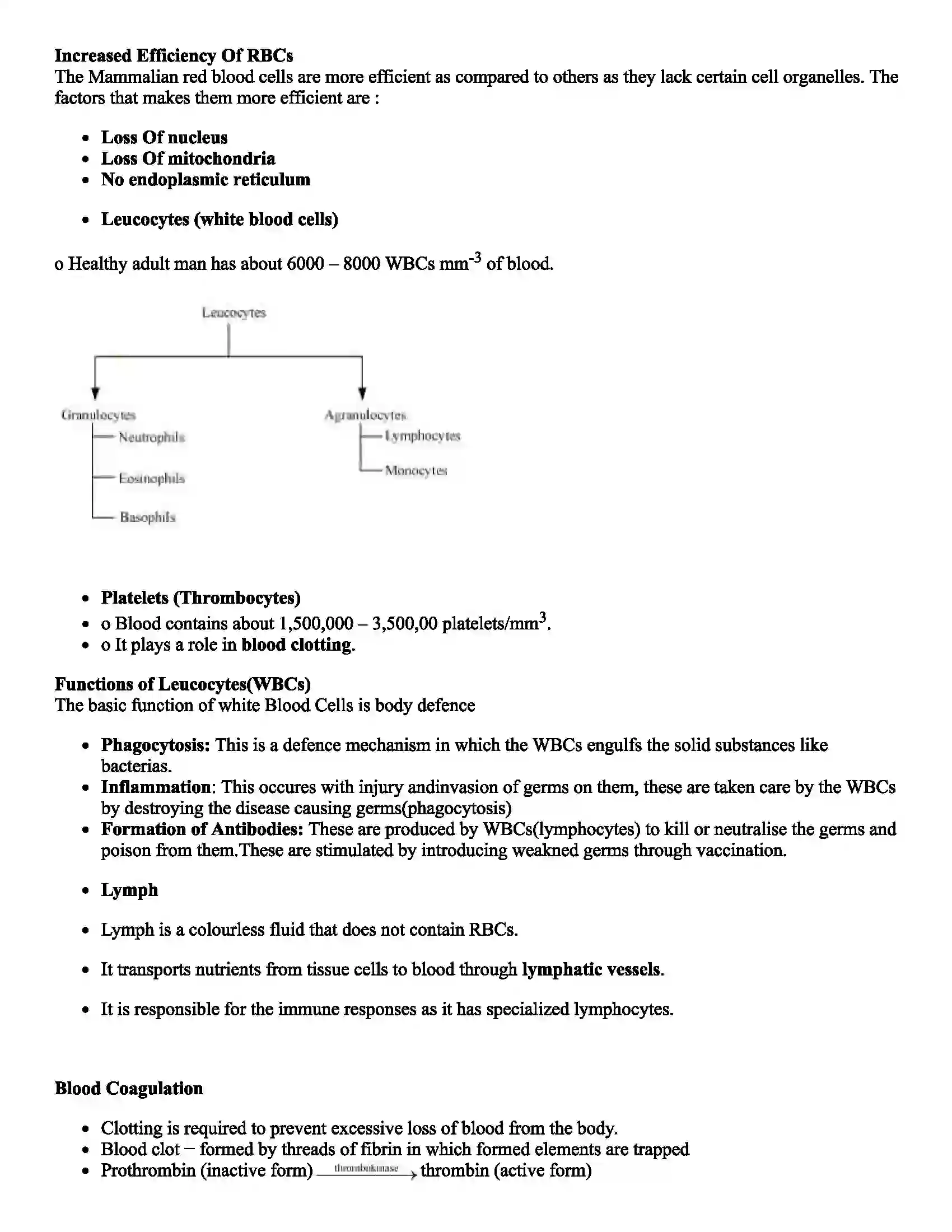 Maharashtra Board Class 12th Biology Circulation Revision Note 2
