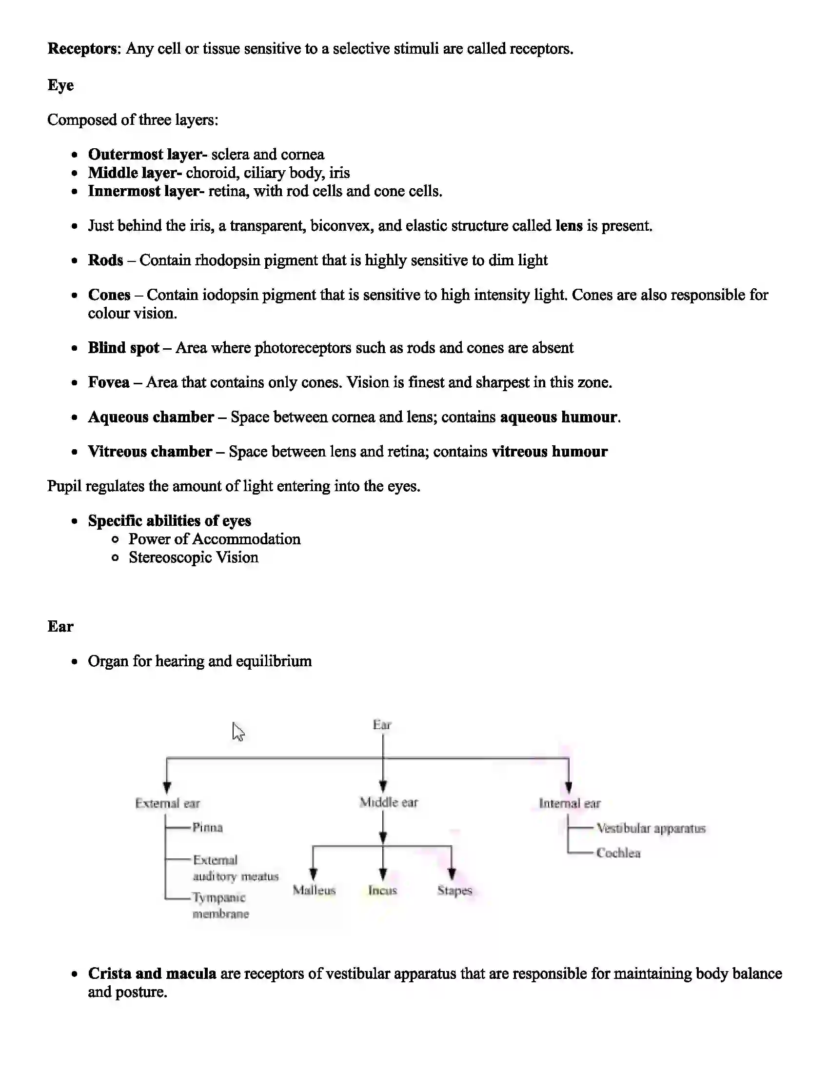 Maharashtra Board Class 12th Biology Control and Co-ordination Revision Note 6