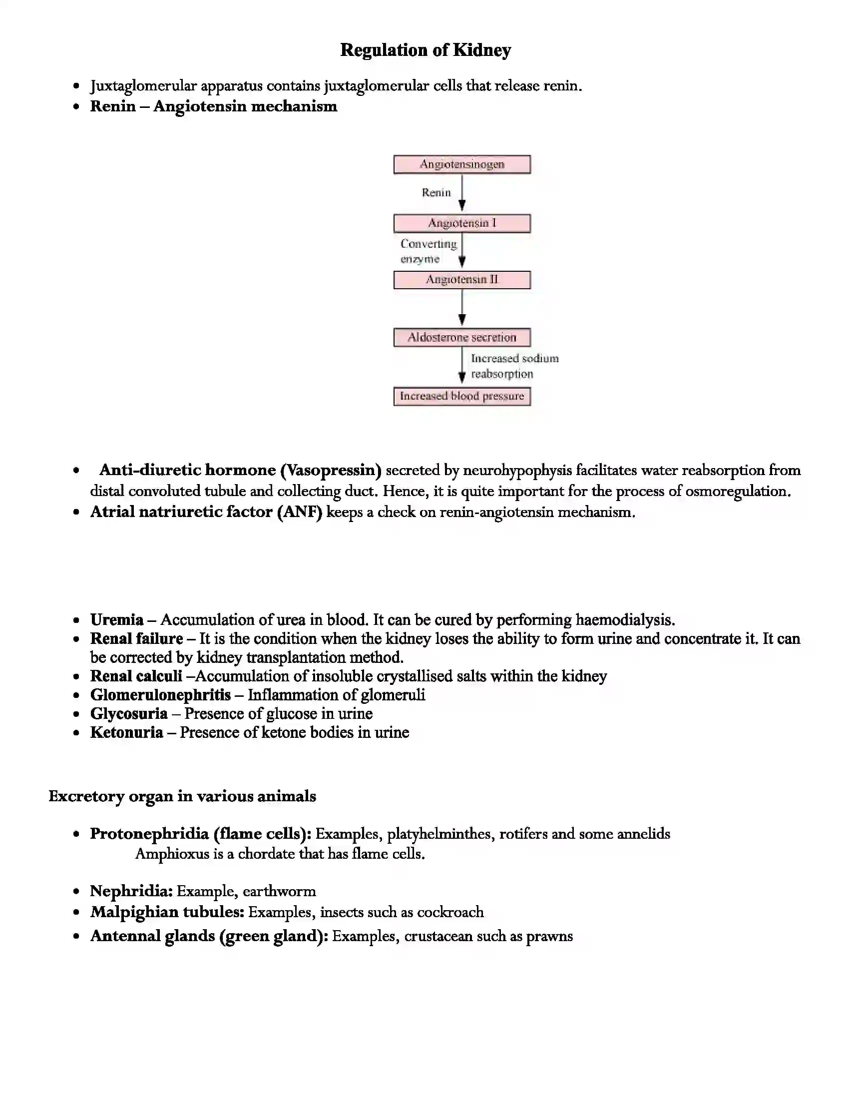 Maharashtra Board Class 12th Biology Excretion and Osmoregulation Revision Note 3