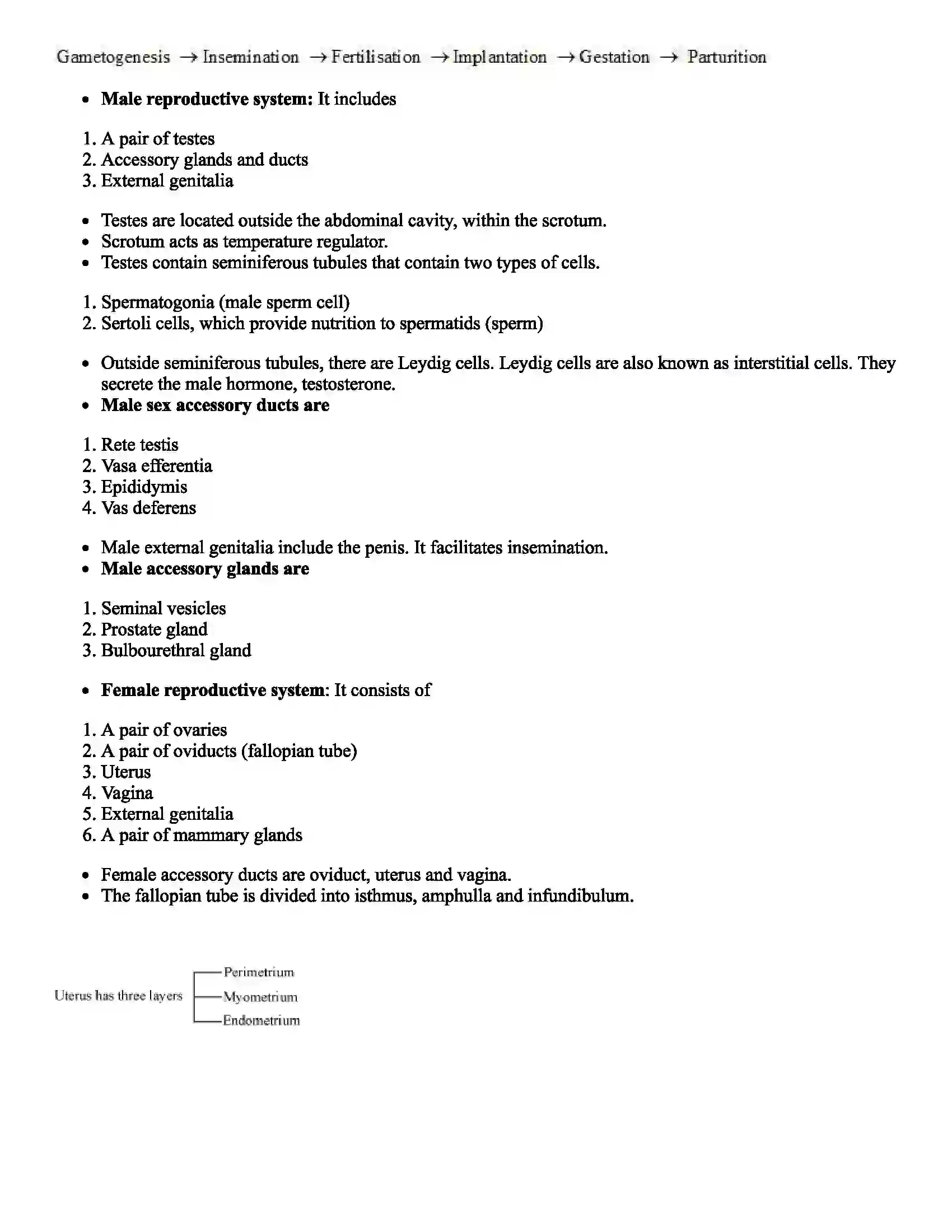 Maharashtra Board Class 12th Biology Human Reproduction Revision Note 2