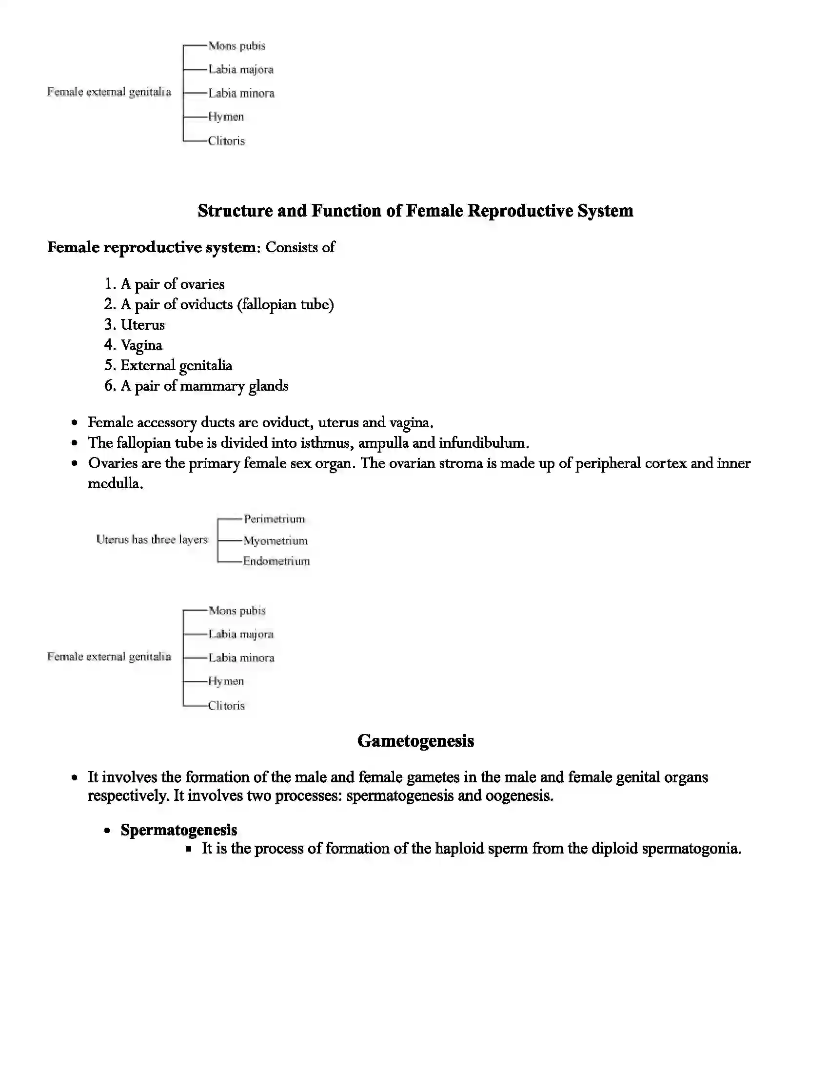 Maharashtra Board Class 12th Biology Human Reproduction Revision Note 3