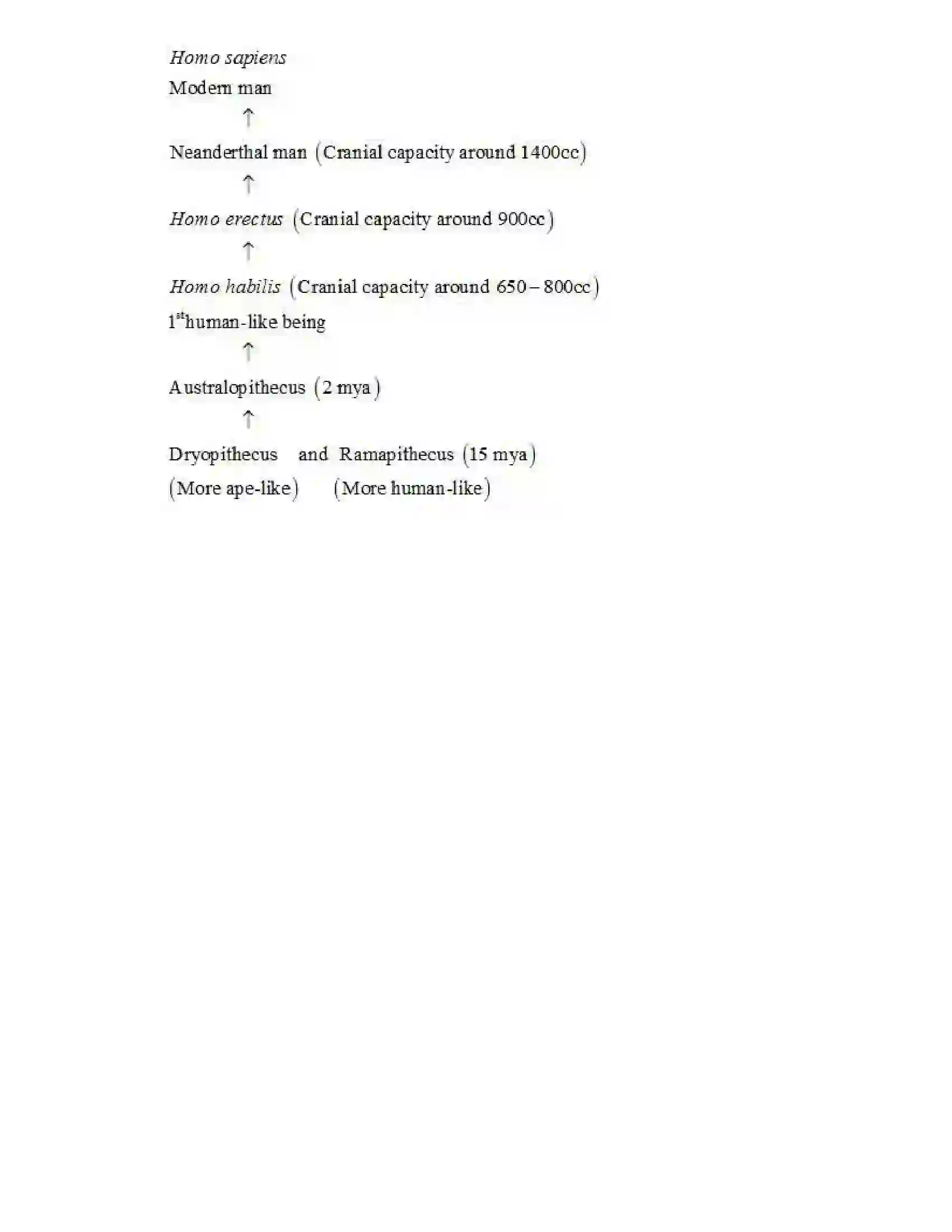 Maharashtra Board Class 12th Biology Origin and Evolution of Life Revision Note 4