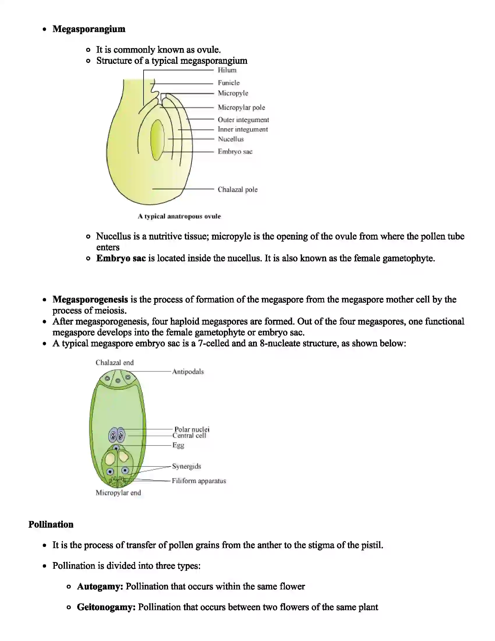Maharashtra Board Class 12th Biology Reproduction in Plants Revision Note 3