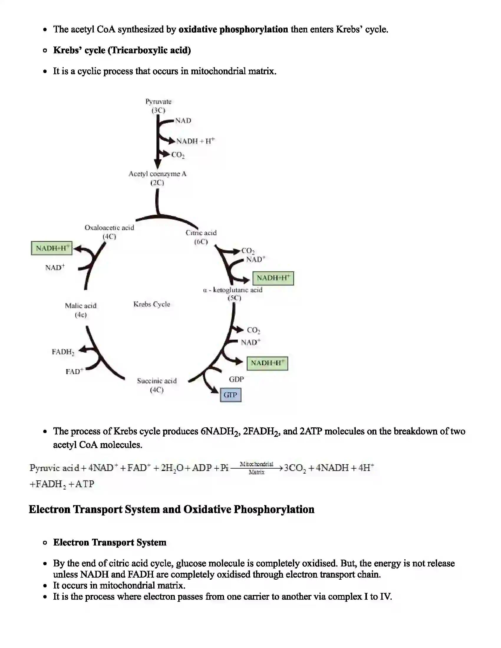 Maharashtra Board Class 12th Biology Respiration Revision Note 5