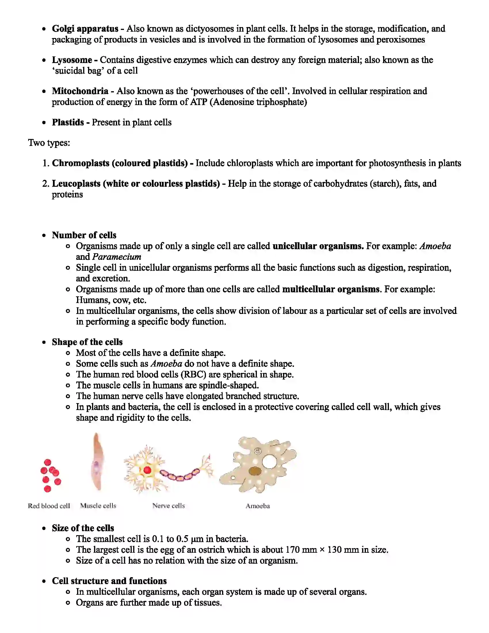 Maharashtra Board Class 7th Science Cell Structure and Micro-organisms Revision Note 3