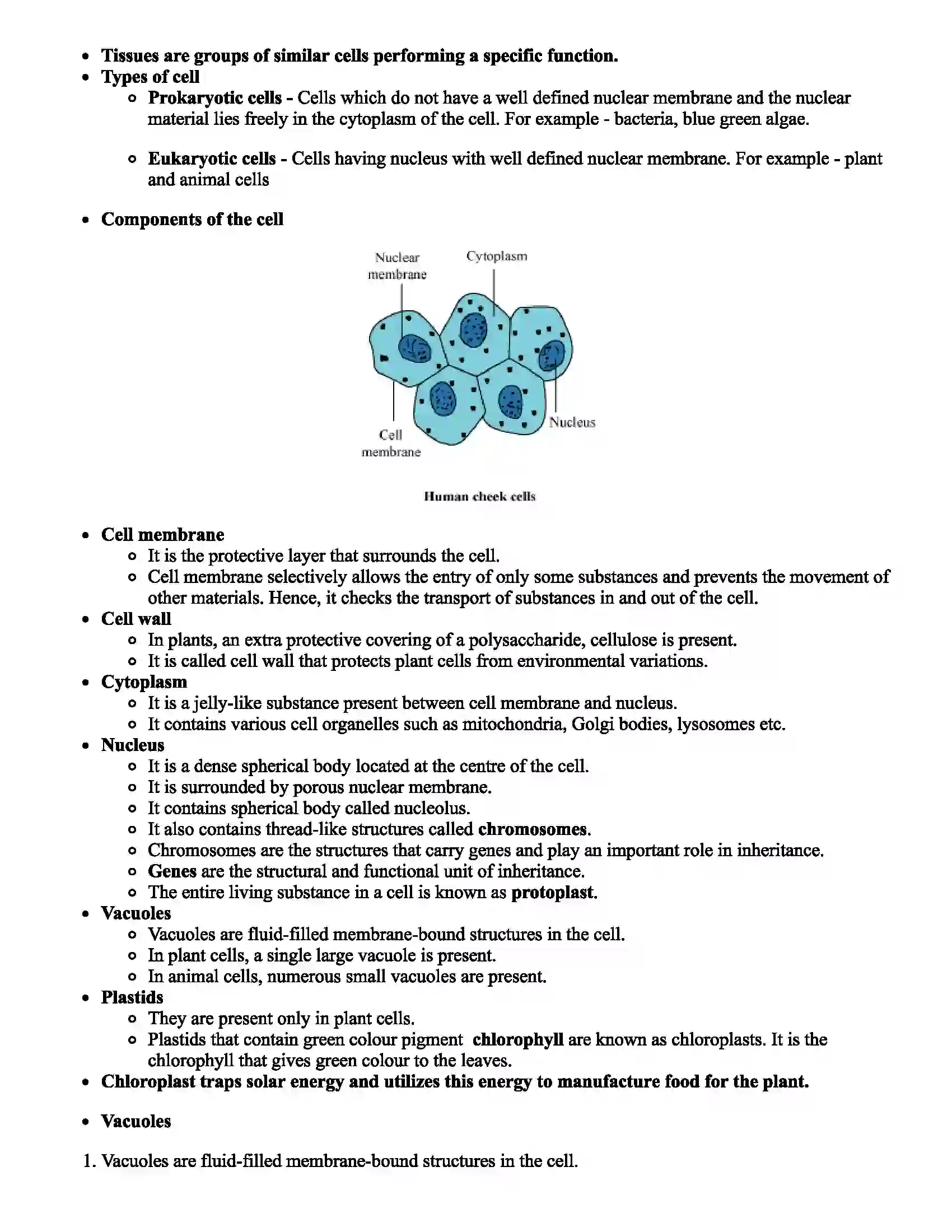 Maharashtra Board Class 7th Science Cell Structure and Micro-organisms Revision Note 4