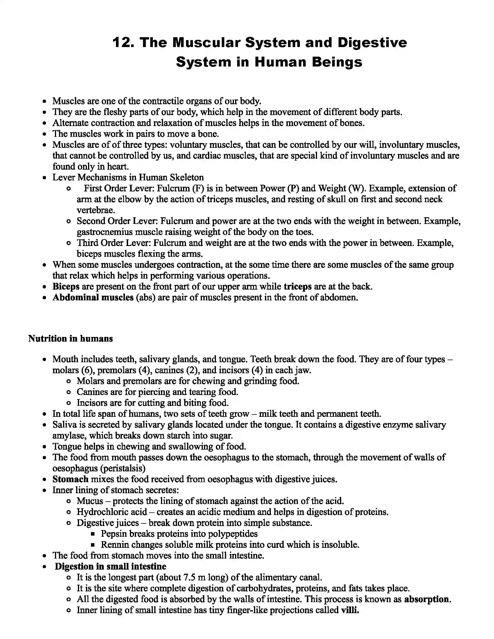 Maharashtra Board Class 7th Science The Muscular System and Digestive System in Human Beings Revision Note 1