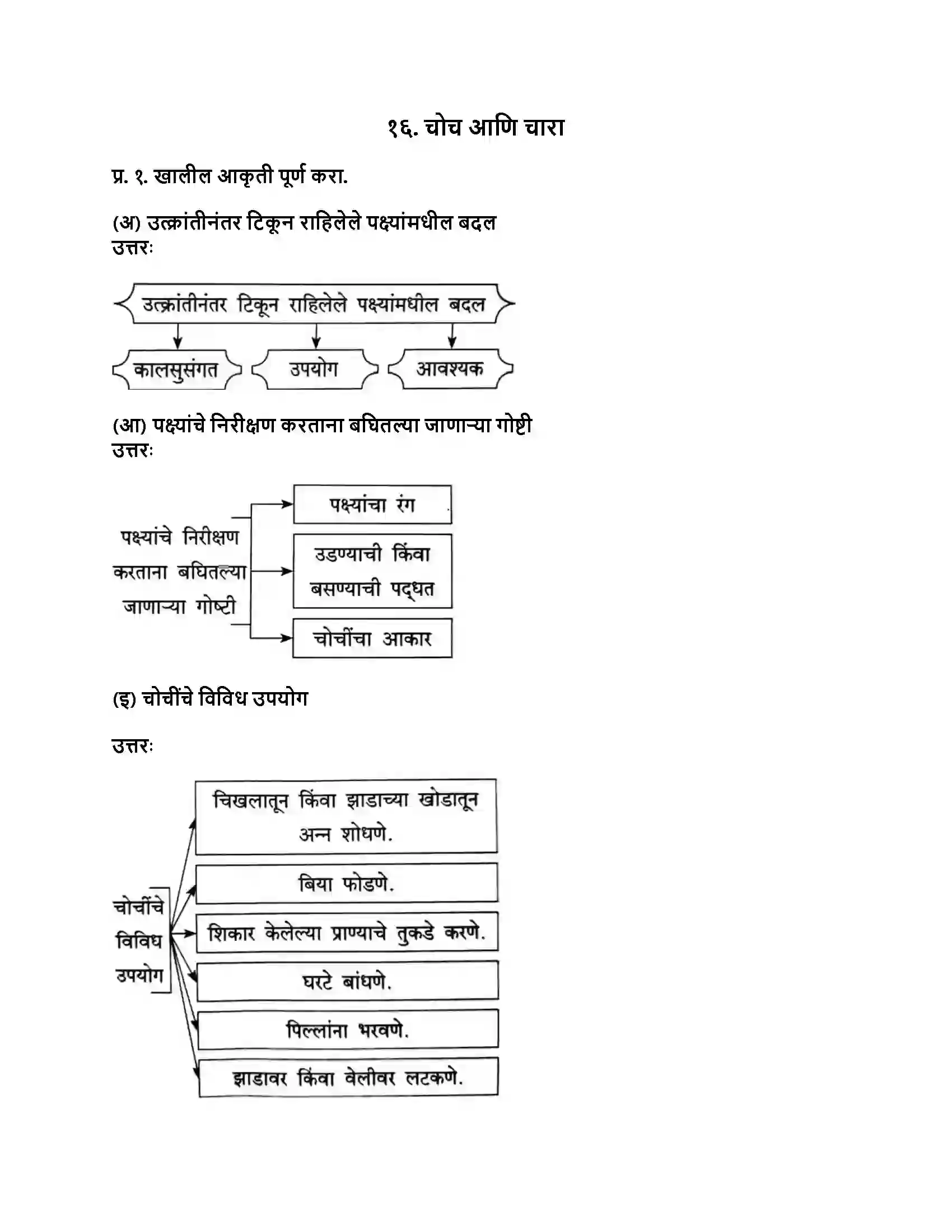 Maharashtra Board Class 8th मराठी बालभारती भाग - IV चोच आणि चारा Revision Note 1