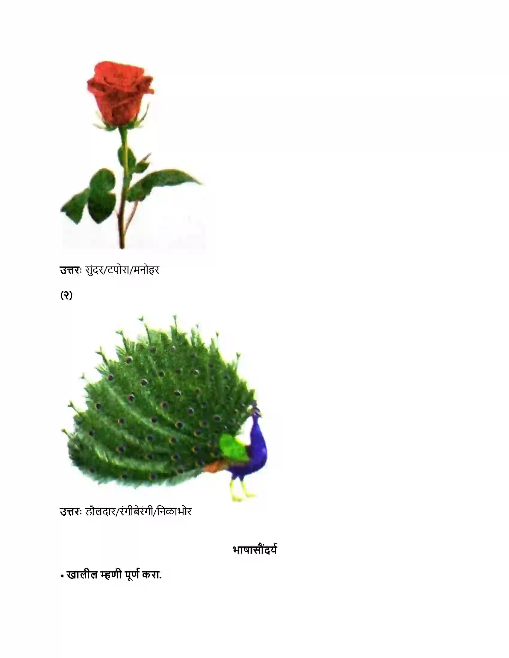 Maharashtra Board Class 8th मराठी बालभारती भाग - IV चोच आणि चारा Revision Note 5