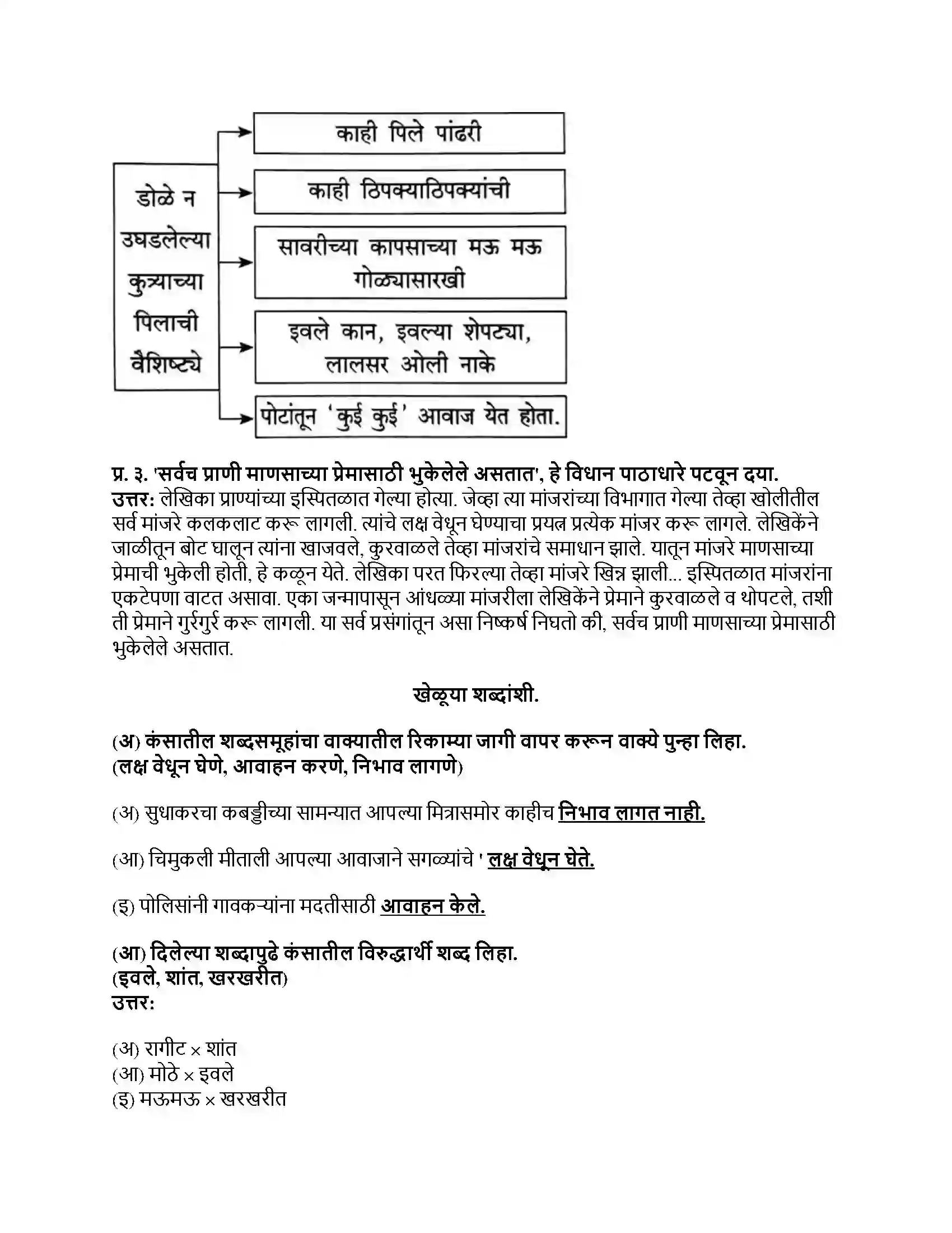 Maharashtra Board Class 8th मराठी सुलभभारती भाग - II आम्ही हवे आहोत का Revision Note 3