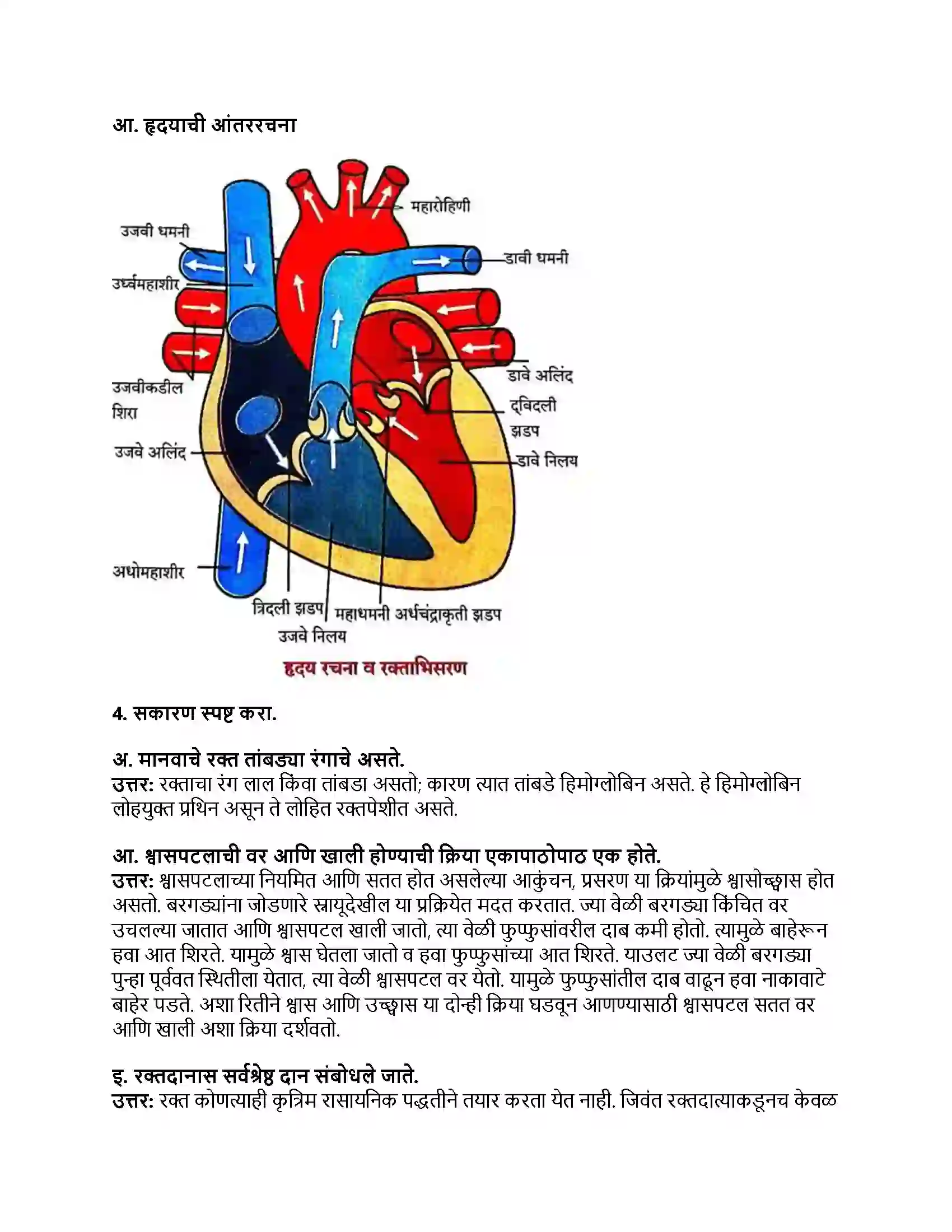 Maharashtra Board Class 8th सामान्य विज्ञान मानवी शरीर व इंद्रिय संस्था Revision Note 3