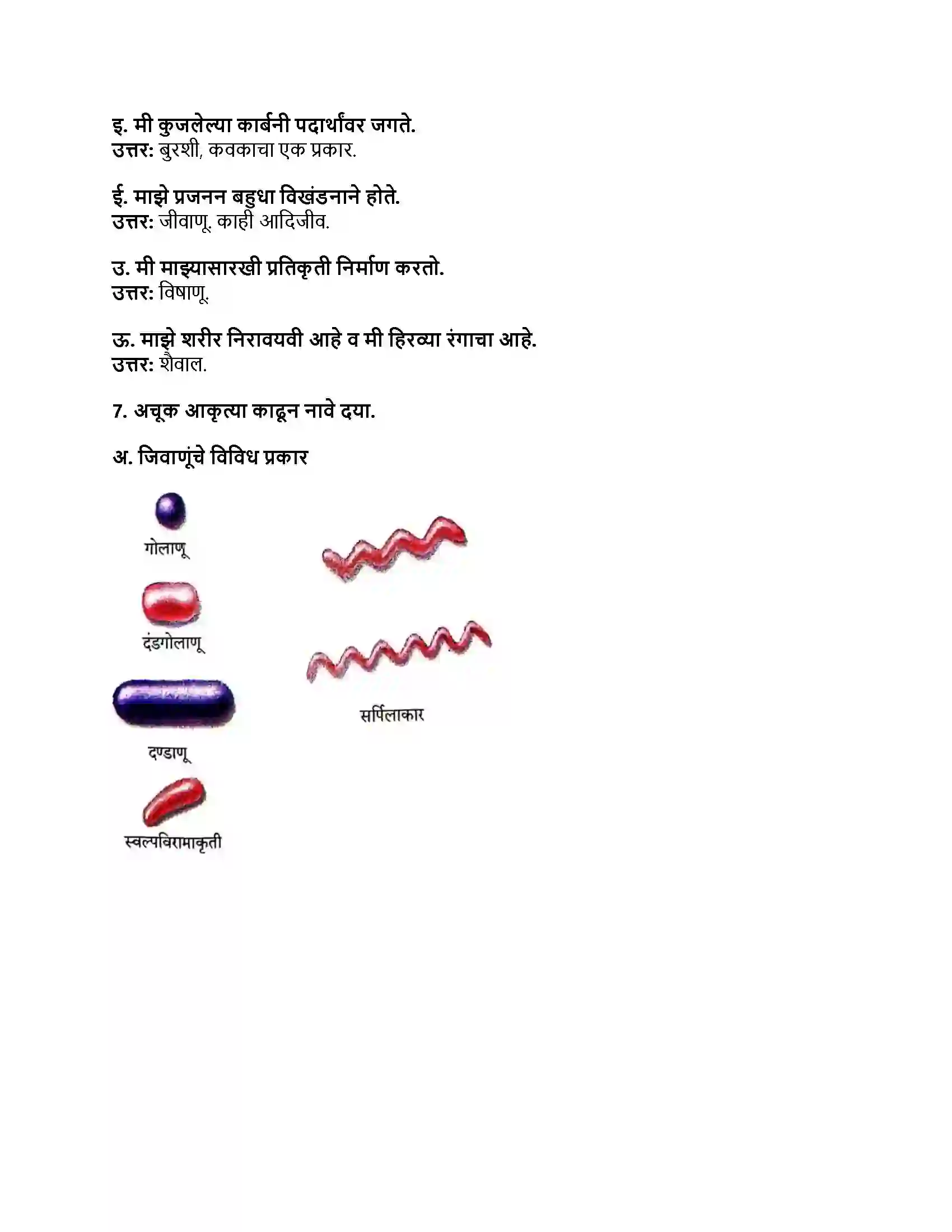 Maharashtra Board Class 8th सामान्य विज्ञान सजीव सृष्टी व सूक्ष्मजीवांचे वर्गीकरण Revision Note 4