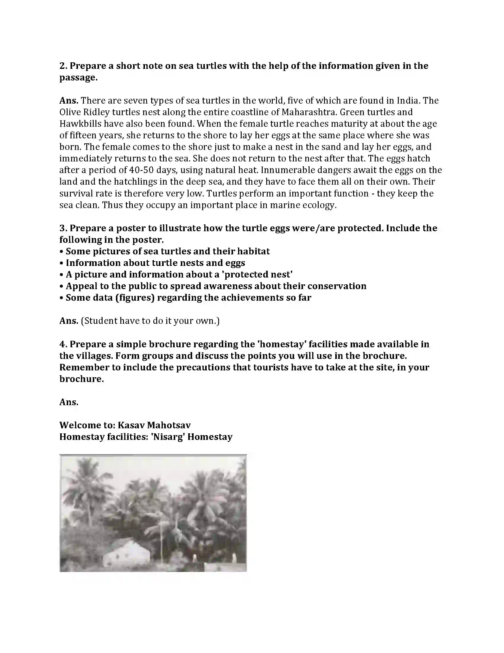 Maharashtra Board Class 9th English Kumar Bharati 2.2 A True Story of Sea Turtles Revision Note 3