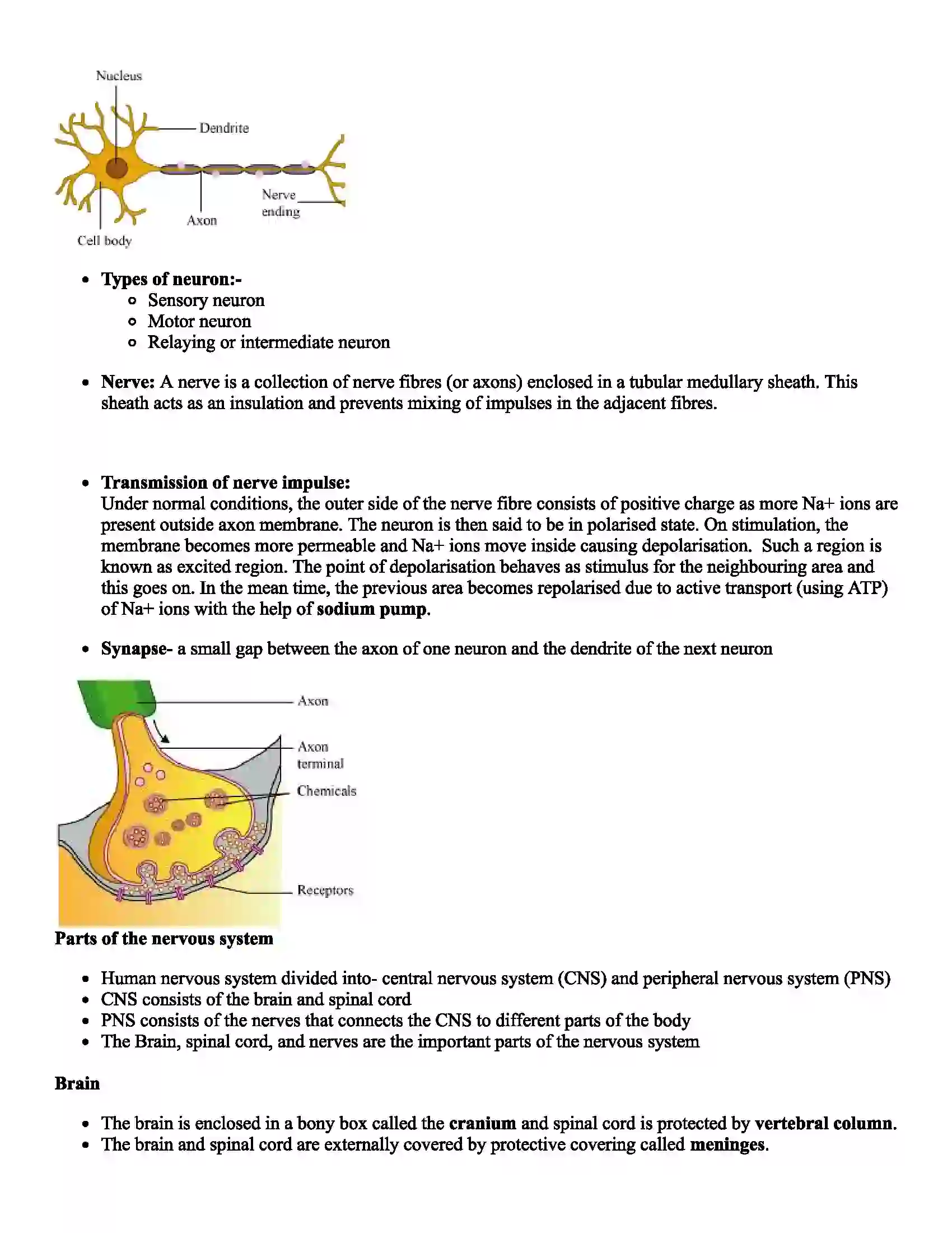 Maharashtra Board Class 9th Science Life Processes in Living Organisms Revision Note 3