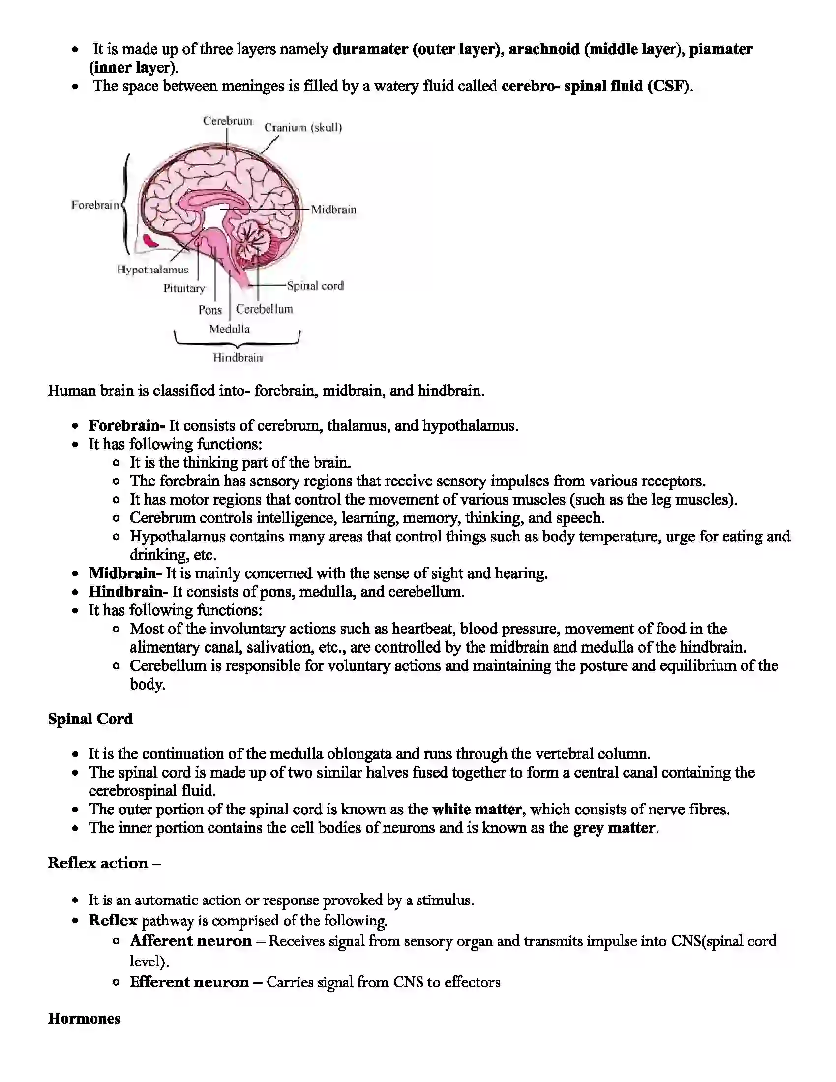 Maharashtra Board Class 9th Science Life Processes in Living Organisms Revision Note 4