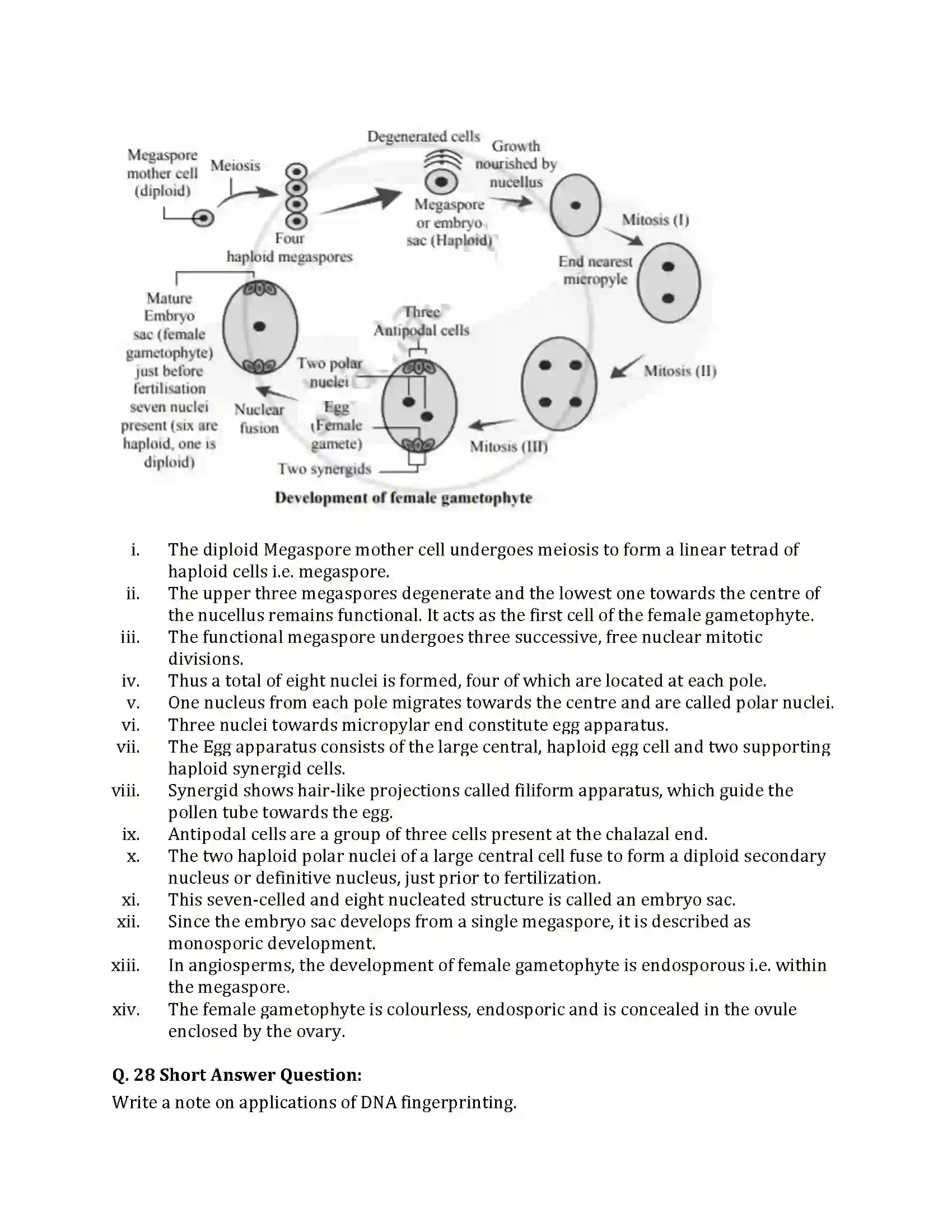Maharashtra Board Class 12th 2021 Biology Sample Paper 12